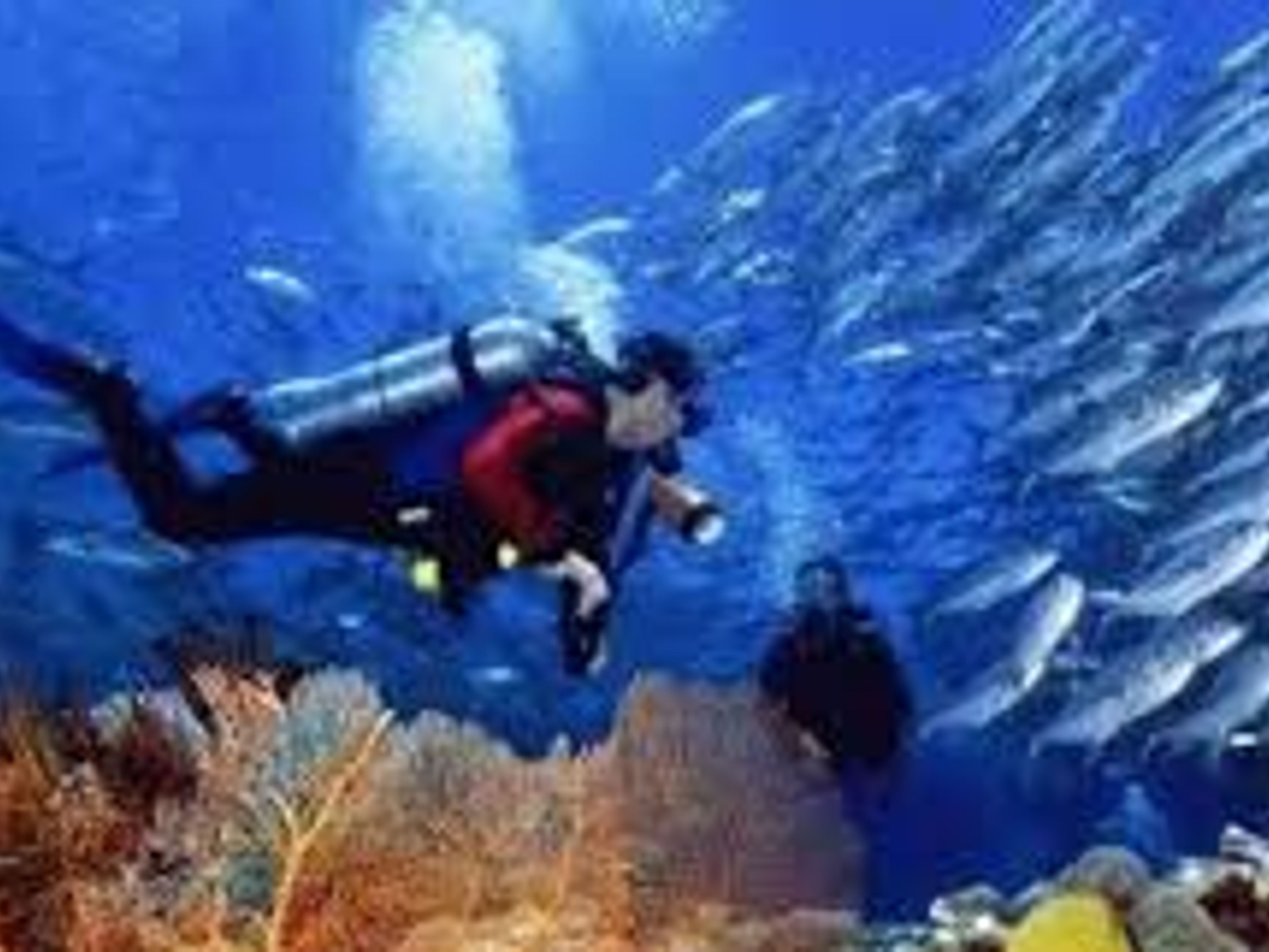 Excursão " Mergulho em Covarrubias". "Diving in in Covarrubias" Tour