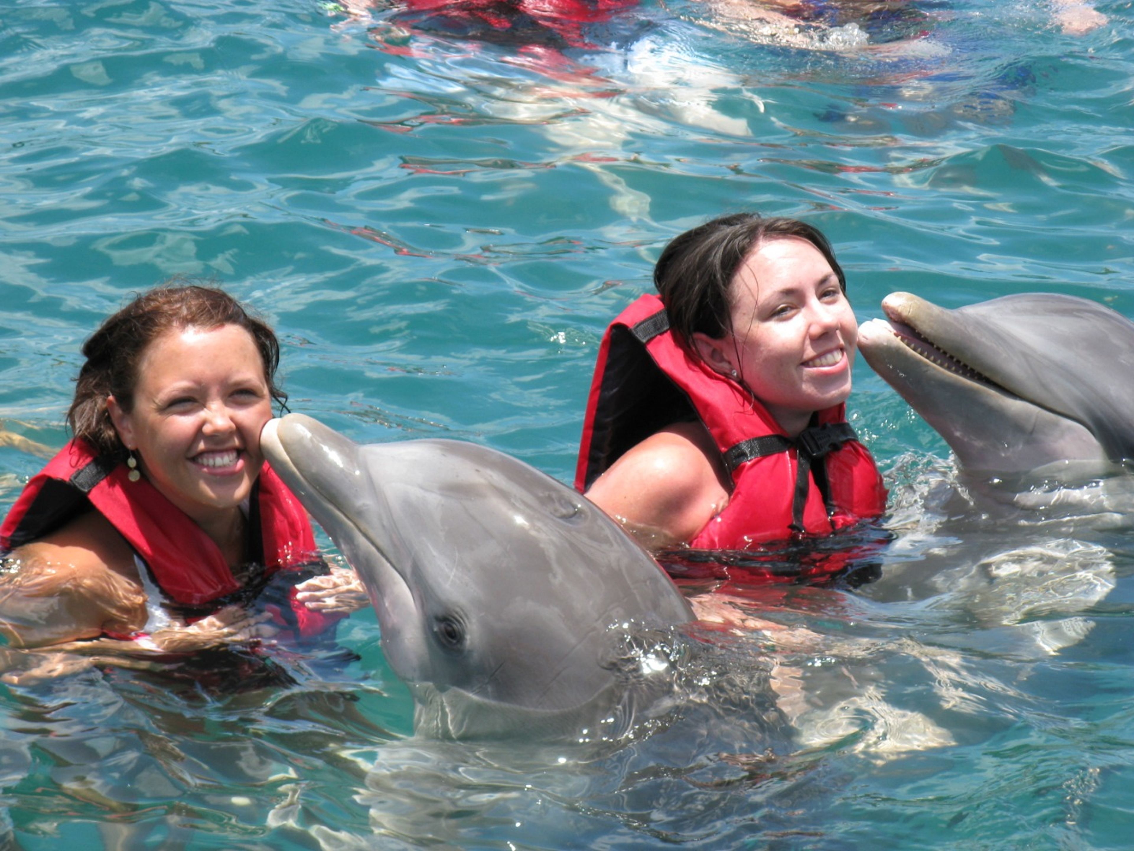 Excursão "SUPER CAMPIÑA". Swimming with dolphins at Bahía de Naranjo dolphinarium