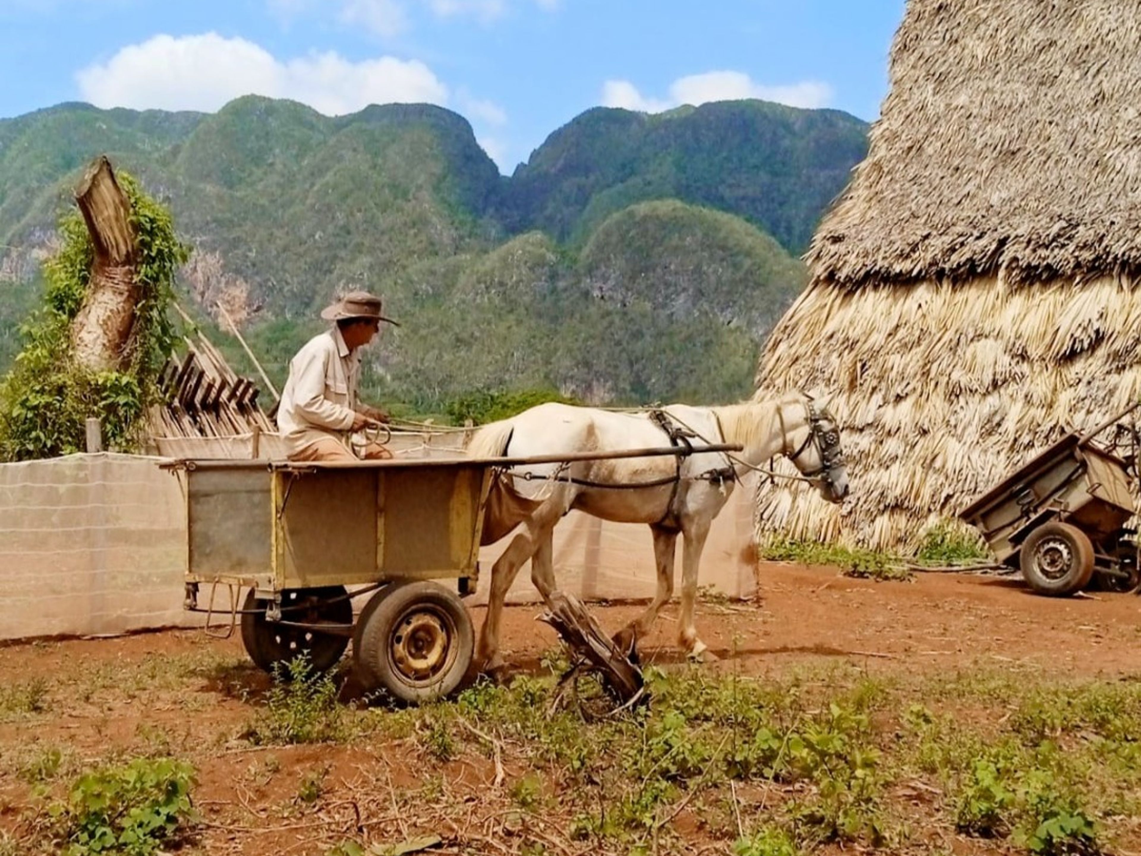 “CONECTANDO CUBA: HAVANA / PINAR DEL RÍO / VIÑALES“ (CC2 - A) Collective Transfer Services. Viñales Valley panoramic view, Viñales, Pinar del Río, Cuba.