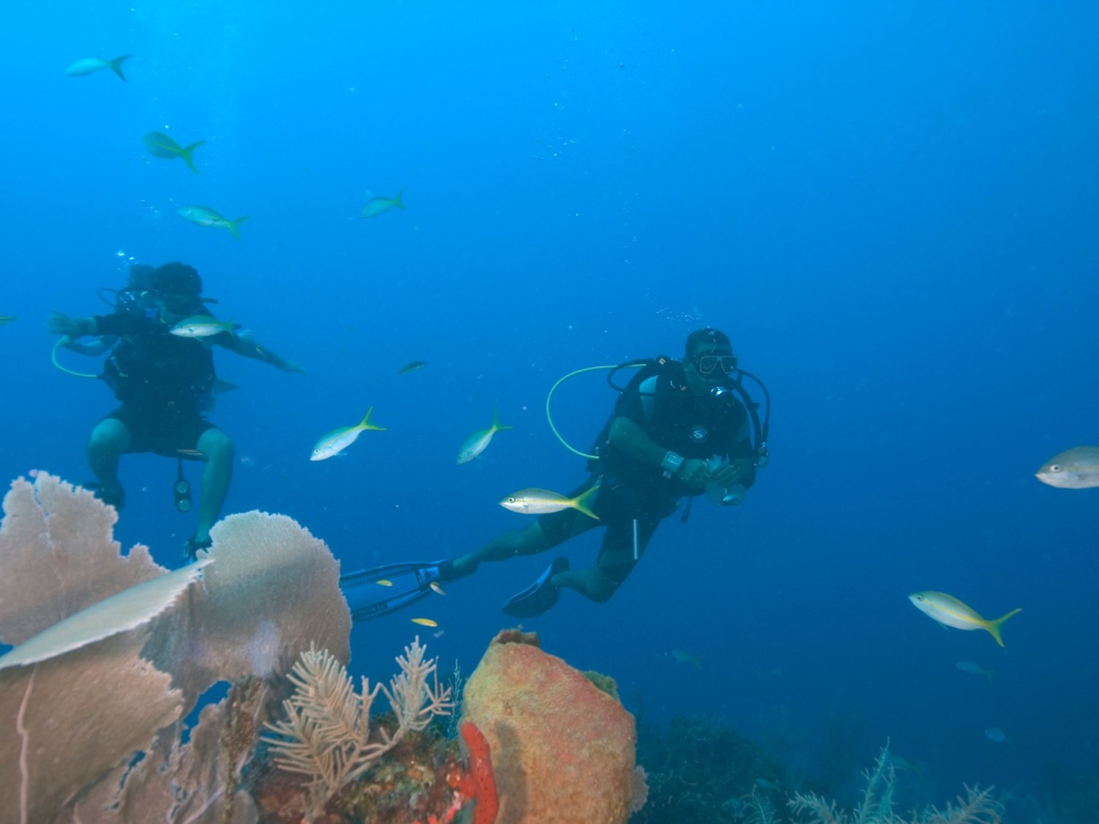 Tour "IMMERSIONI A MAREA DEL PORTILLO". Diving in Albacora Dive Center in Marea del Portillo, Pilón, Granma, Cuba.