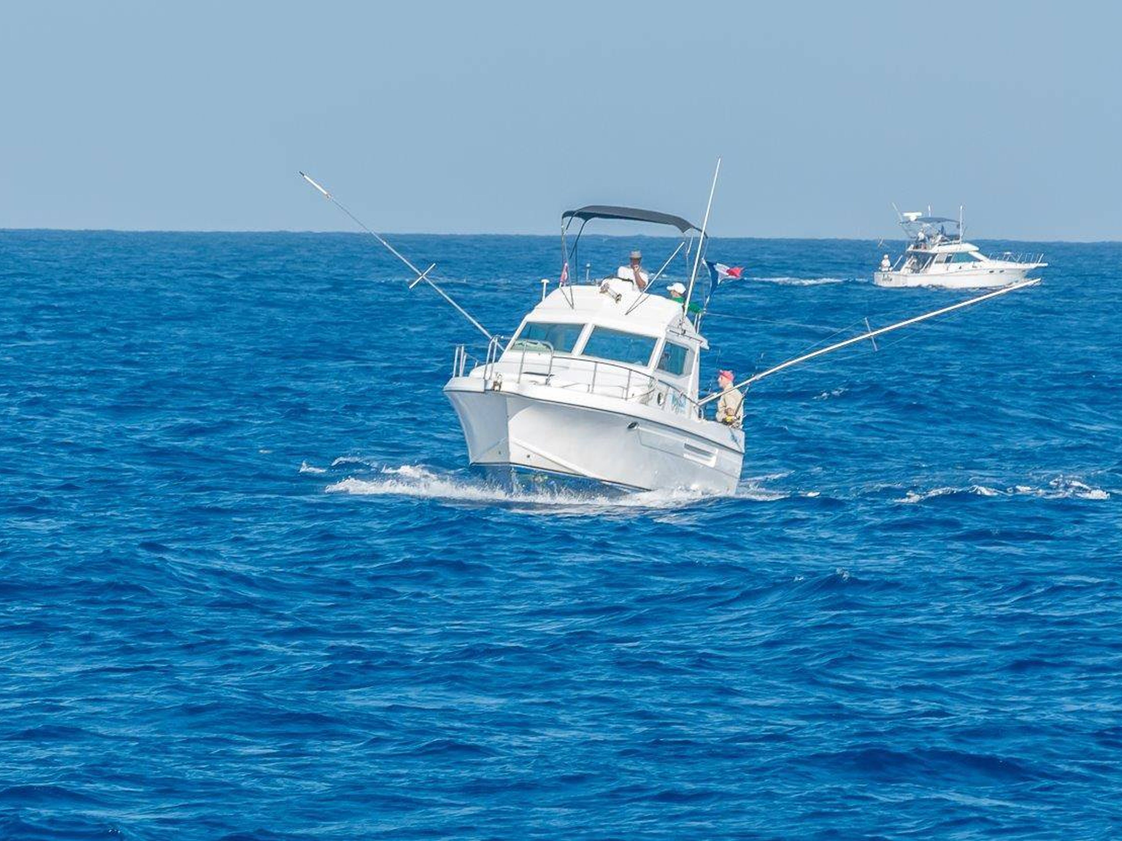 Excursión “PESCA DE ALTURA EN LA HABANA“. Deep Sea Fishing at Marina Hemingway, Havana, Cuba.