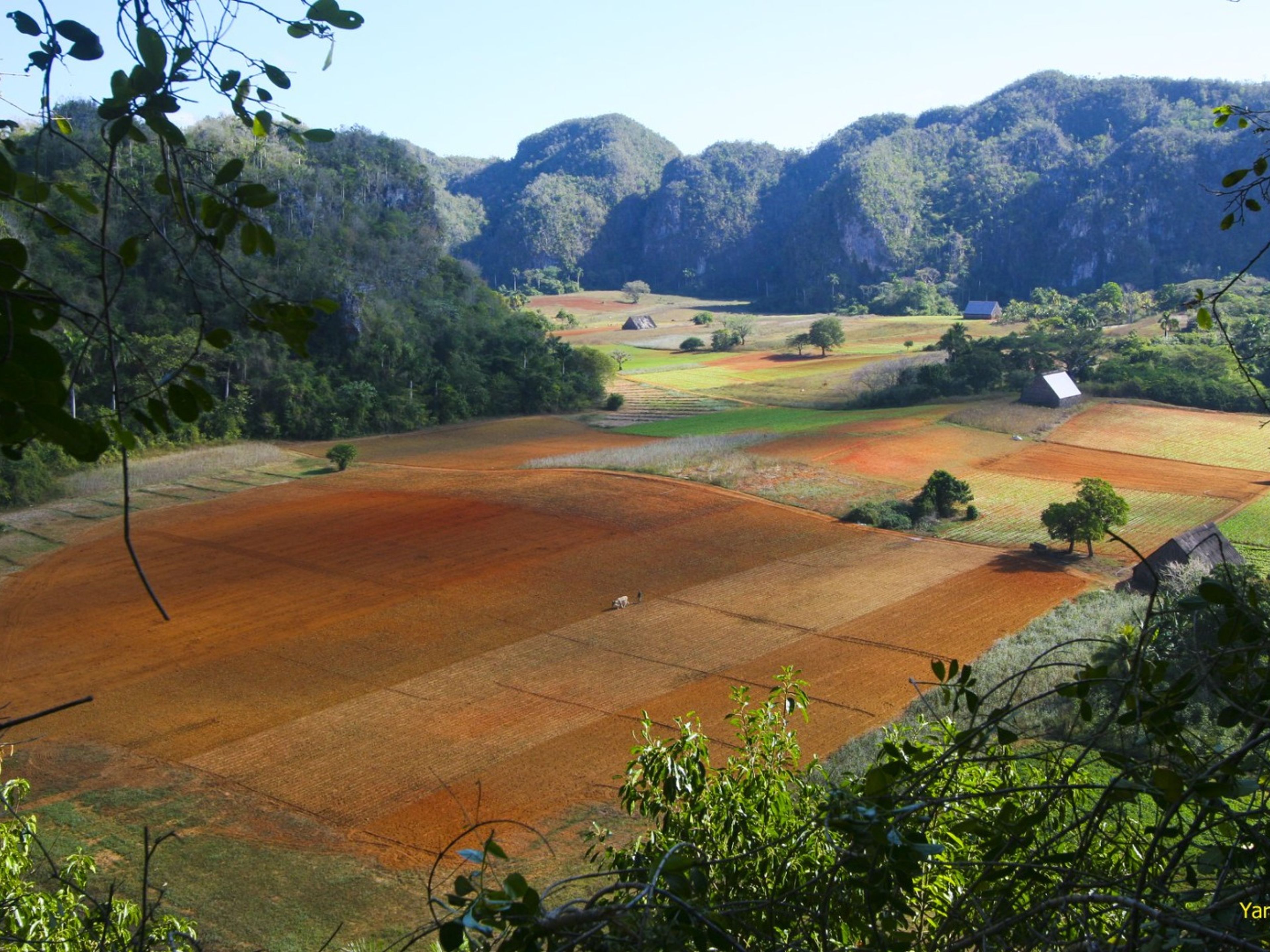 Tour “GIRO COLLETTIVO DA L'AVANA A VIÑALES IN AUTO AMERICANE CLASSICHE” (2 Giorni / 1 Notte). The Viñales Valley panoramic view, Viñales, Pinar del Río, Cuba.