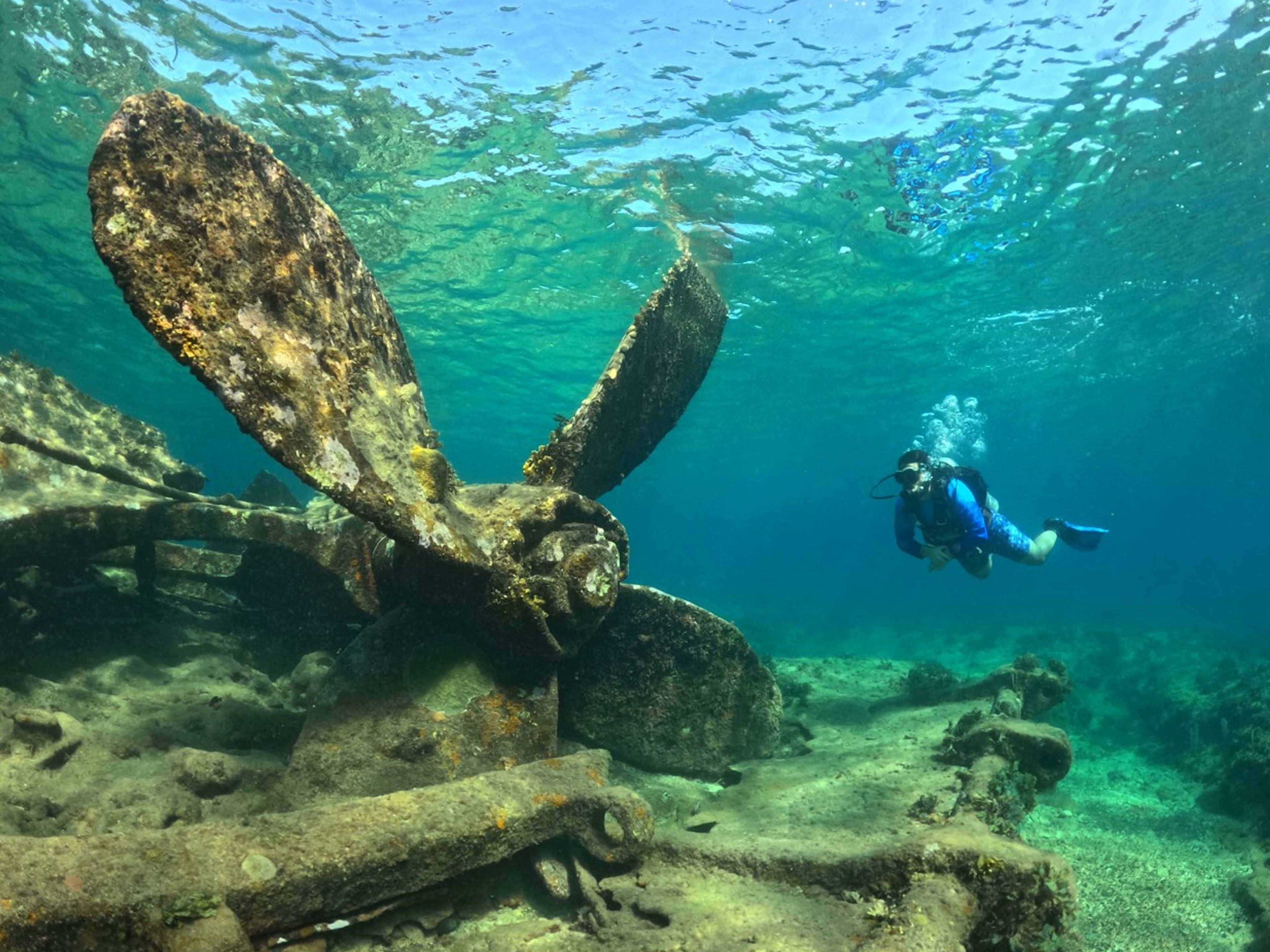 “SCUBA DIVING IN DAMUJI WRECK + PLAYA CORAL, CARBONERAS, MATANZAS“ Tour