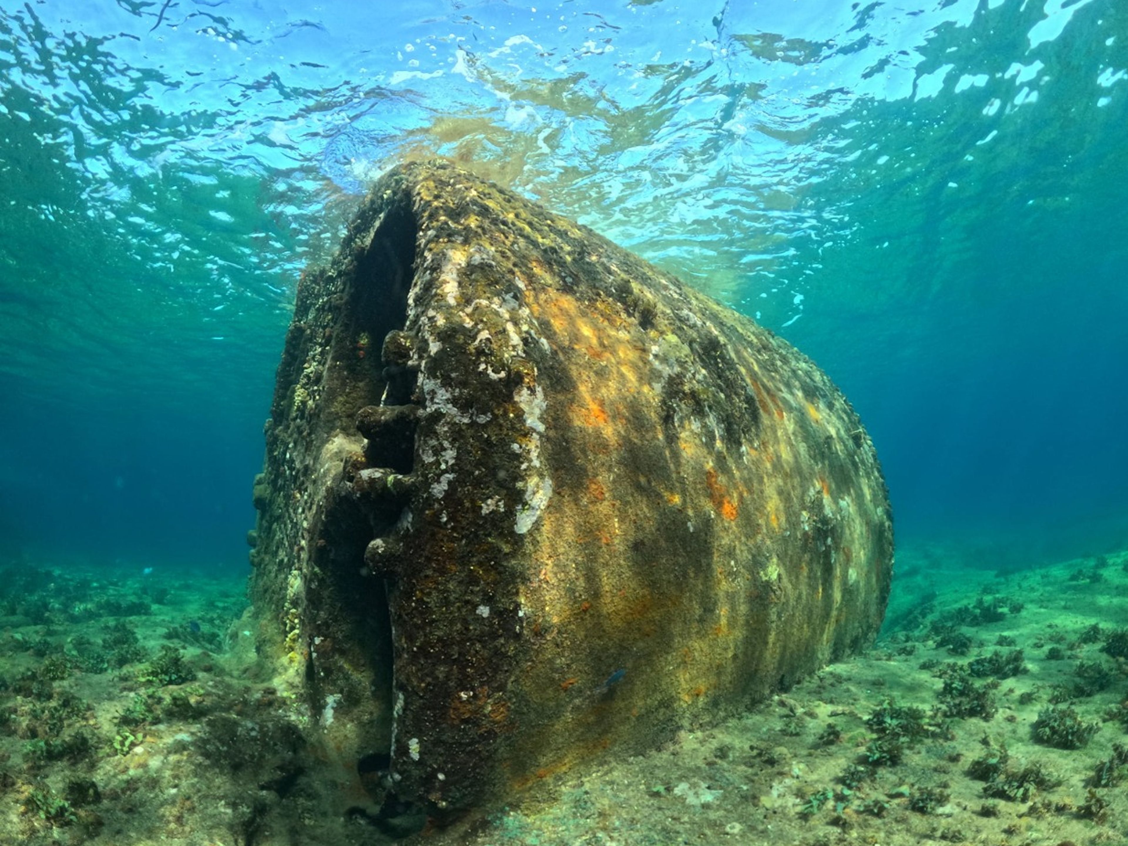 “SCUBA DIVING IN DAMUJI WRECK + PLAYA CORAL, CARBONERAS, MATANZAS“ Tour. “SCUBA DIVING IN DAMUJI WRECK + PLAYA CORAL, CARBONERAS, MATANZAS“ Tour