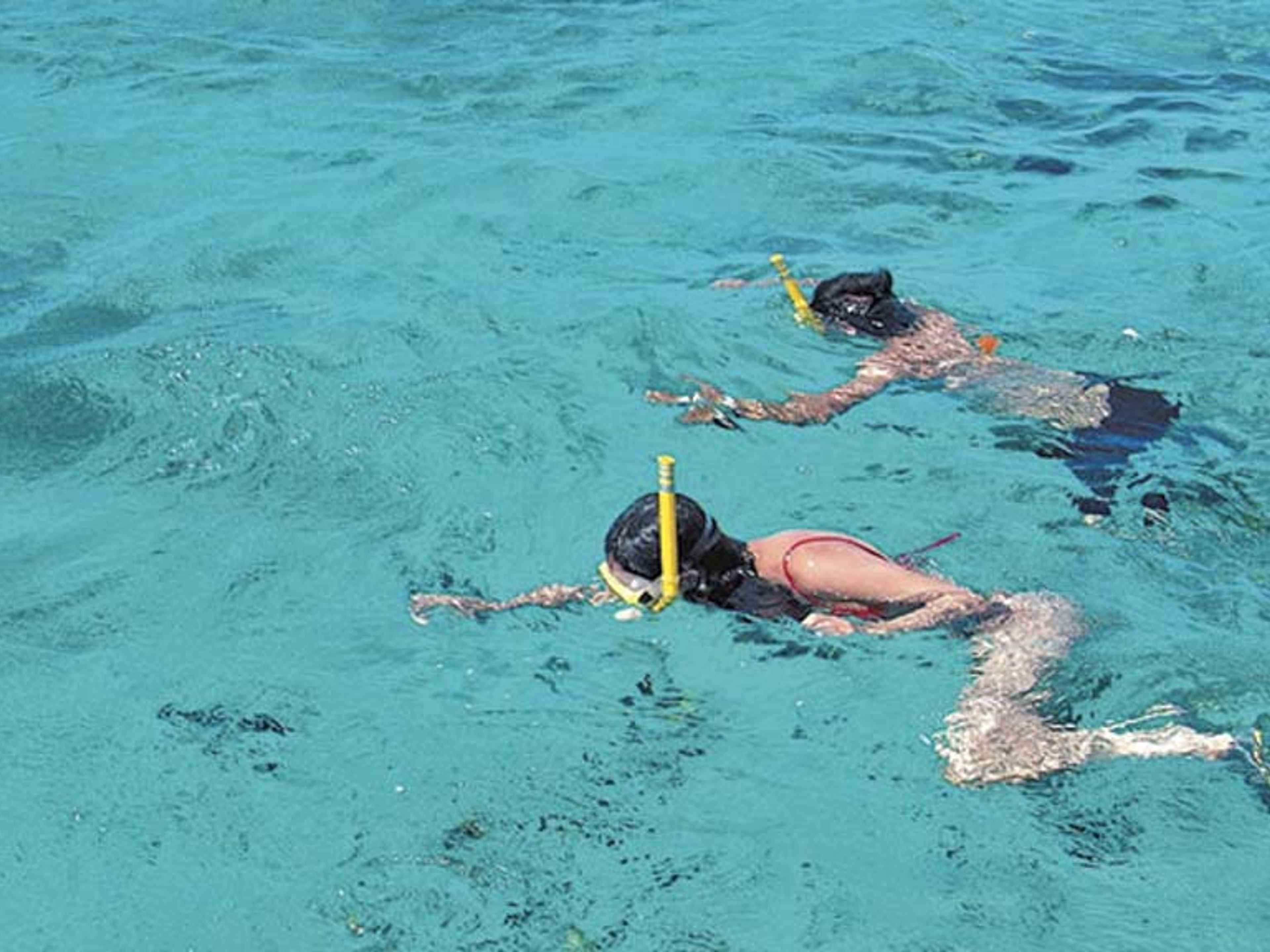 Tour “SEATOUR“. “SEATOUR“ Tour, Cayo Blanco del Norte, Varadero, Matanzas, Cuba.