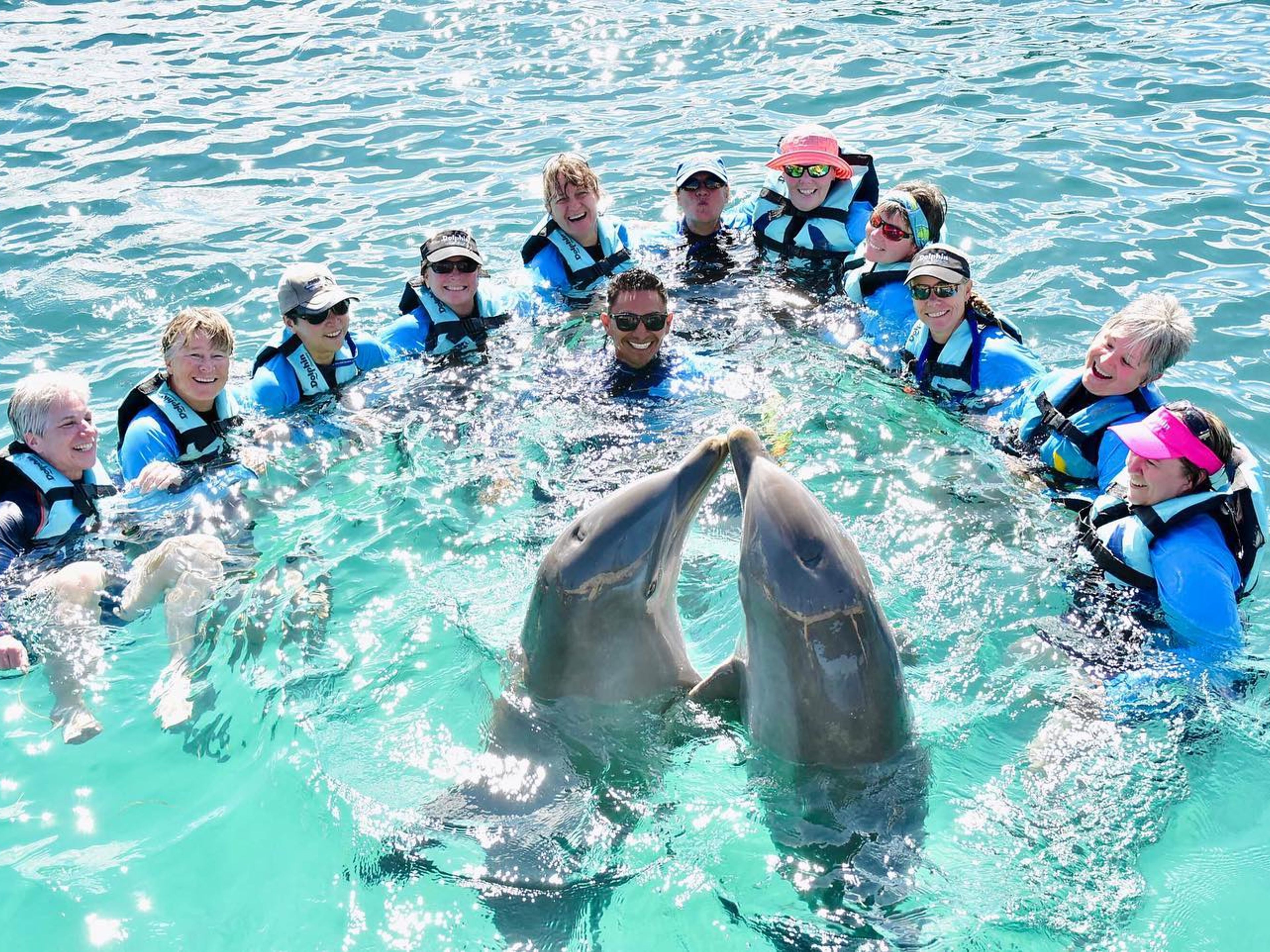 Excursão "Experiência dos Golfinhos (Encontro) + Isla Mujeres". "Dolphins Experience (Encounter) + Isla Mujeres" Tour