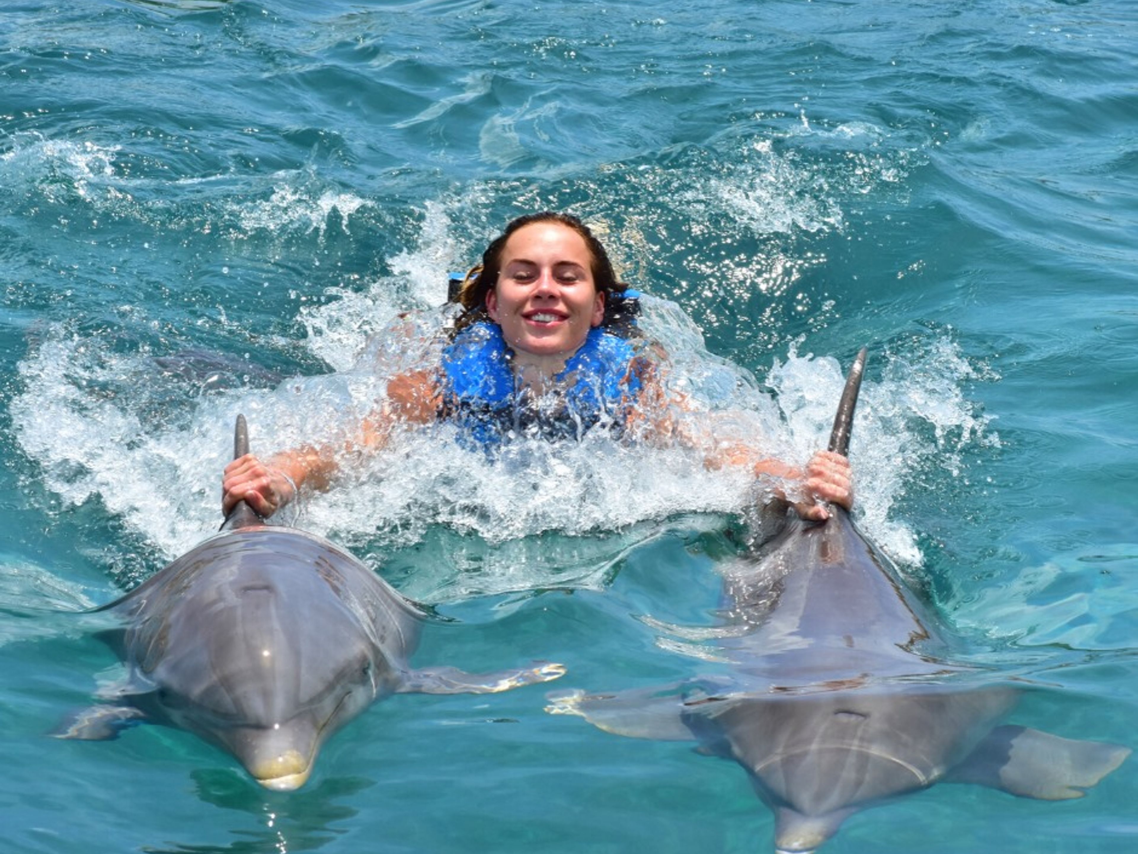 Excursão "Experiência dos Golfinhos (Encontro) + Isla Mujeres". "Dolphins Experience (Encounter) + Isla Mujeres" Tour