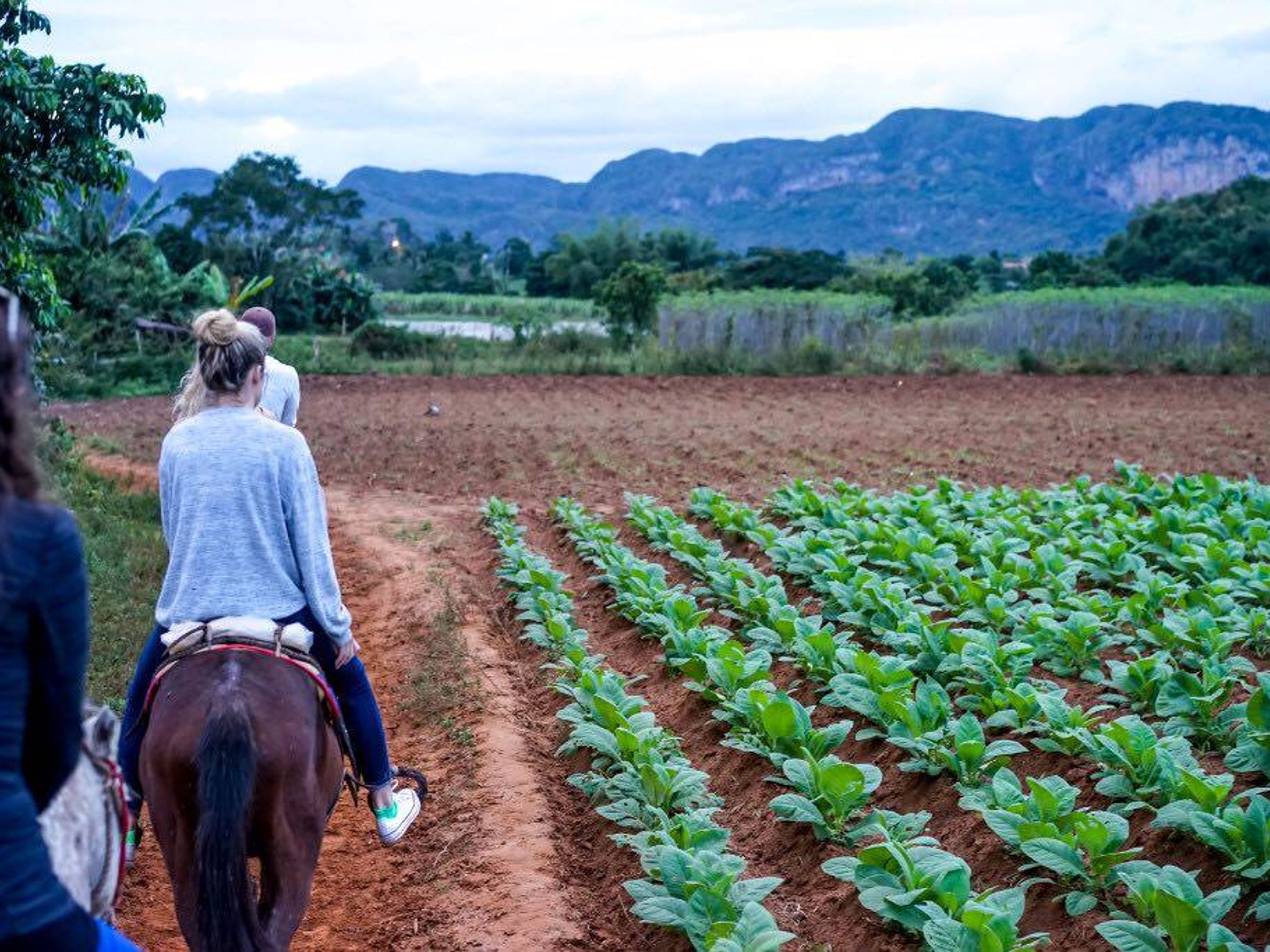 Tour "Avventura a cavallo attraverso la valle di Viñales". Viñales valley panoramic view, Pinar del Río, "Horseback Adventure through the Valley of Viñales" Tour