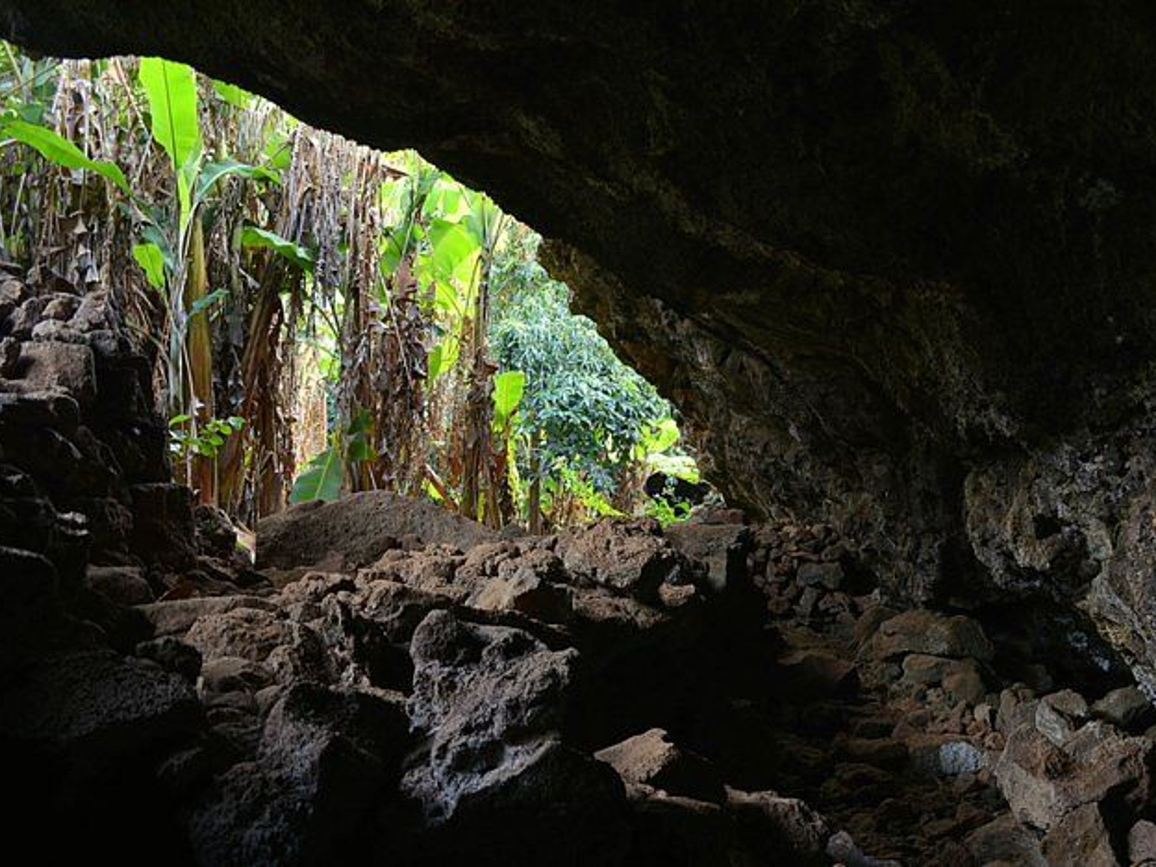 TOUR “AHI AKIVI, LES SEPT MOAIS”.. null