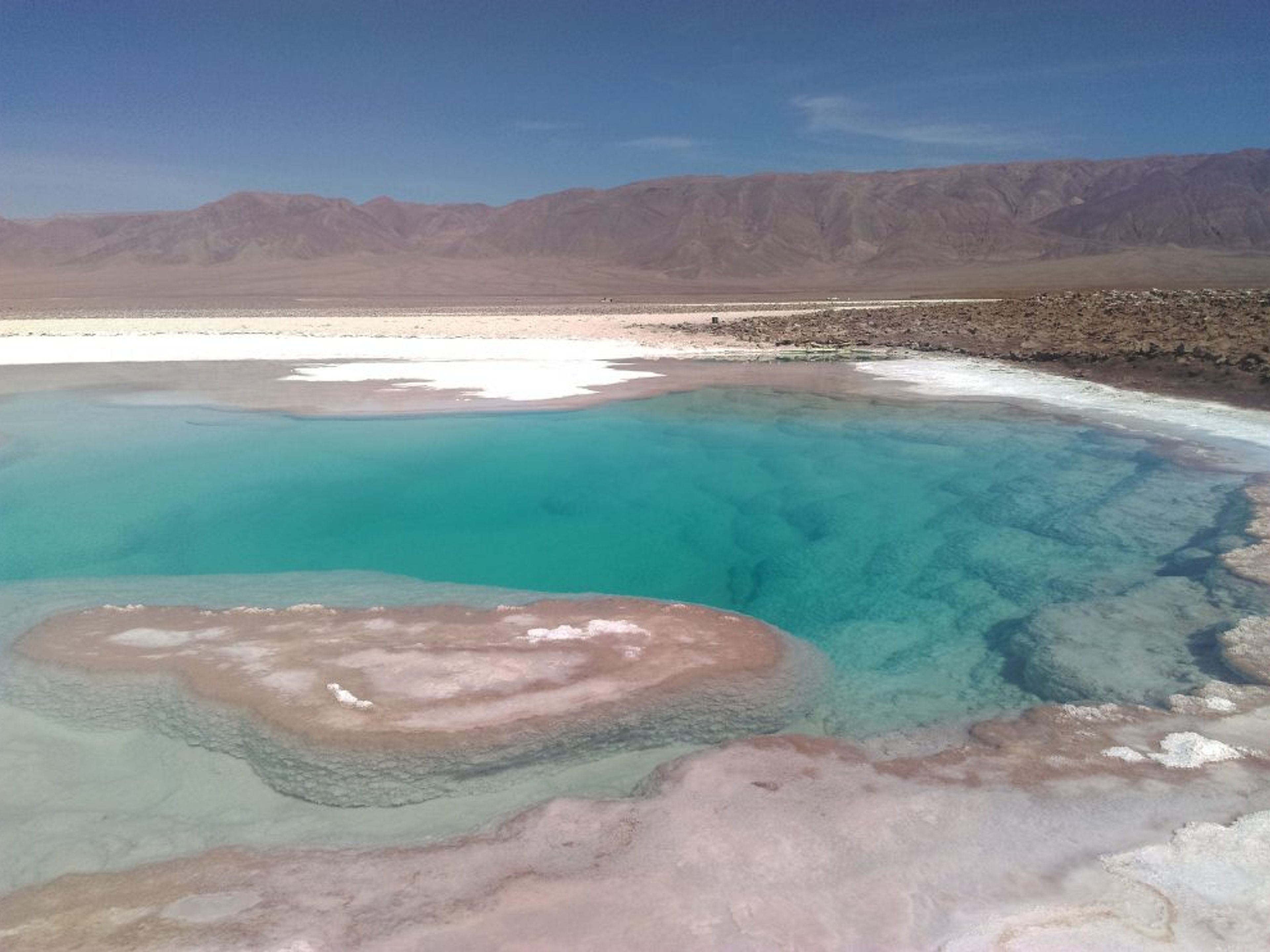EXCURSIÓN “LAGUNAS BALTINACHE”. Baltinache lagoons, panoramic view, Antofagasta región, Chile.