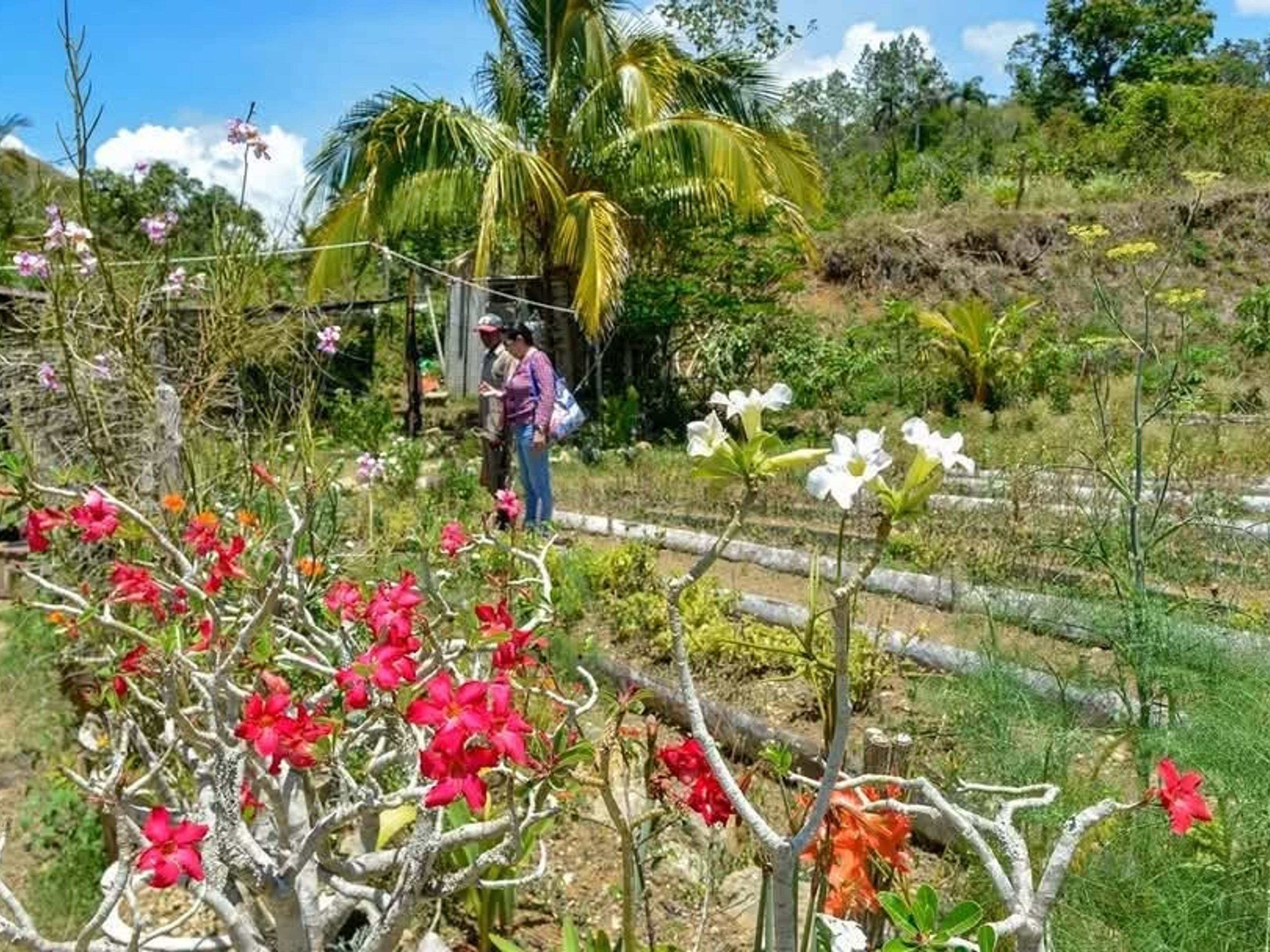 "BESUCH DER WERKSTATT UND DES HAUSES DES TÖPFERMEISTERS REY" Tour. null
