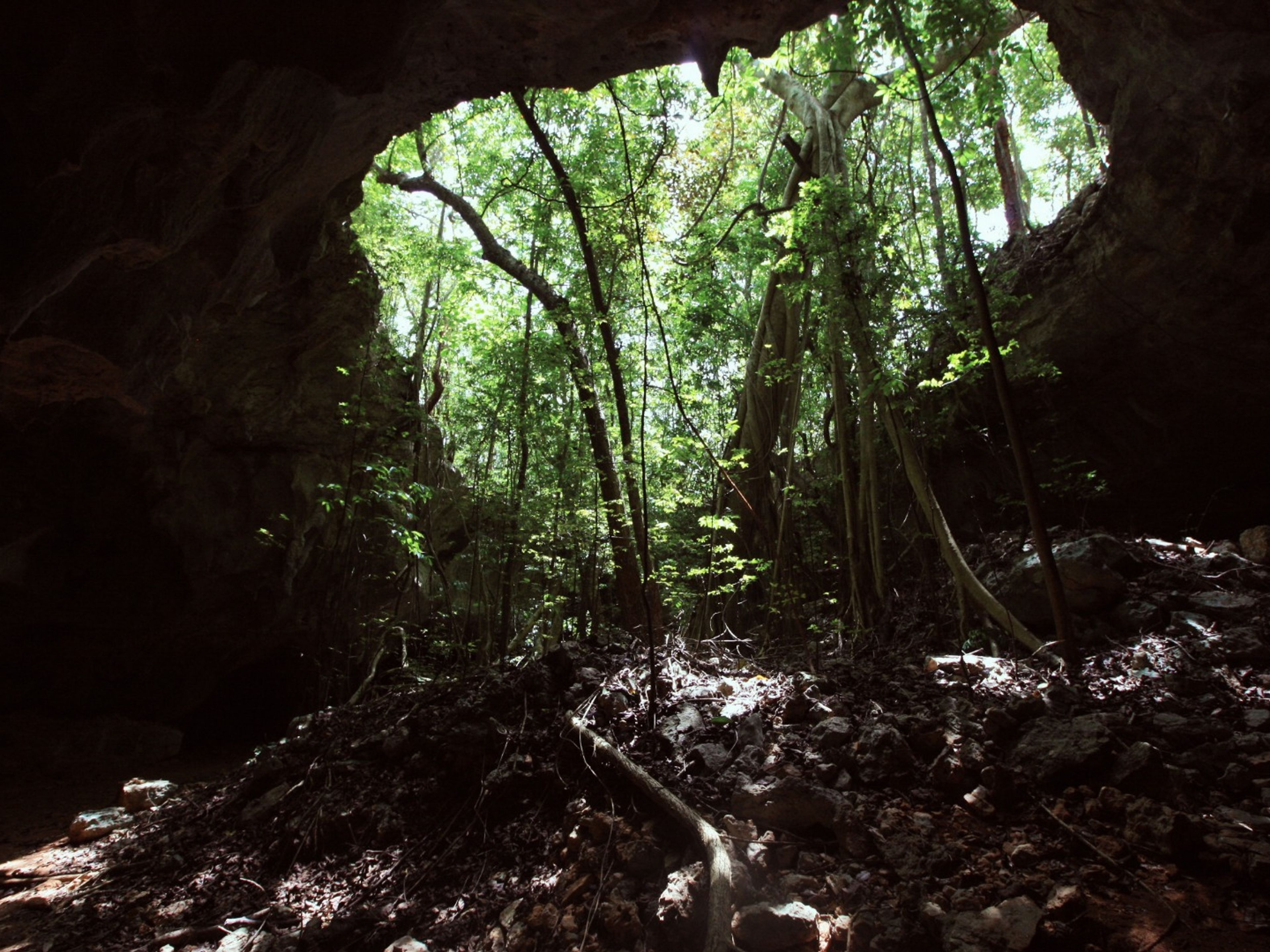 Tour “CAGUANES”. Caguanes National Park panoramic view, Sanctí Spíritus, Cuba.