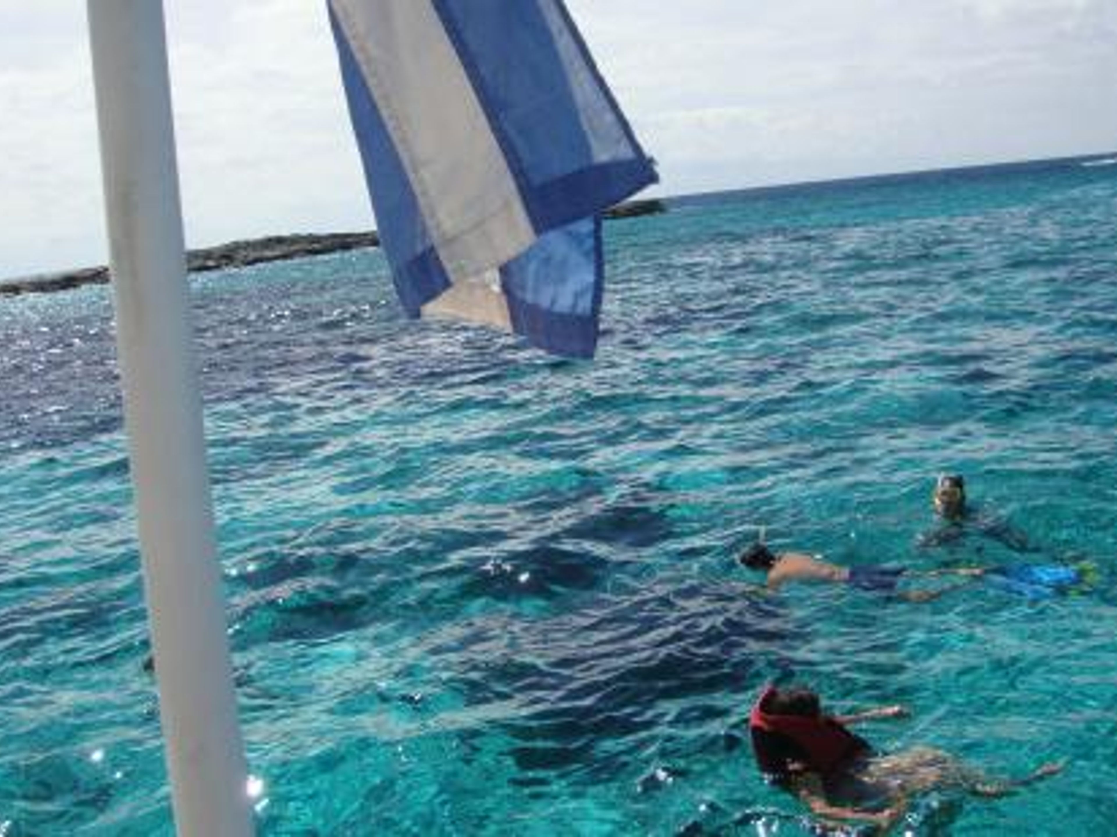 "HALBER TAG PLUS IN CAYO LARGO DEL SUR" Tour. Snorkeling at the coral reef
