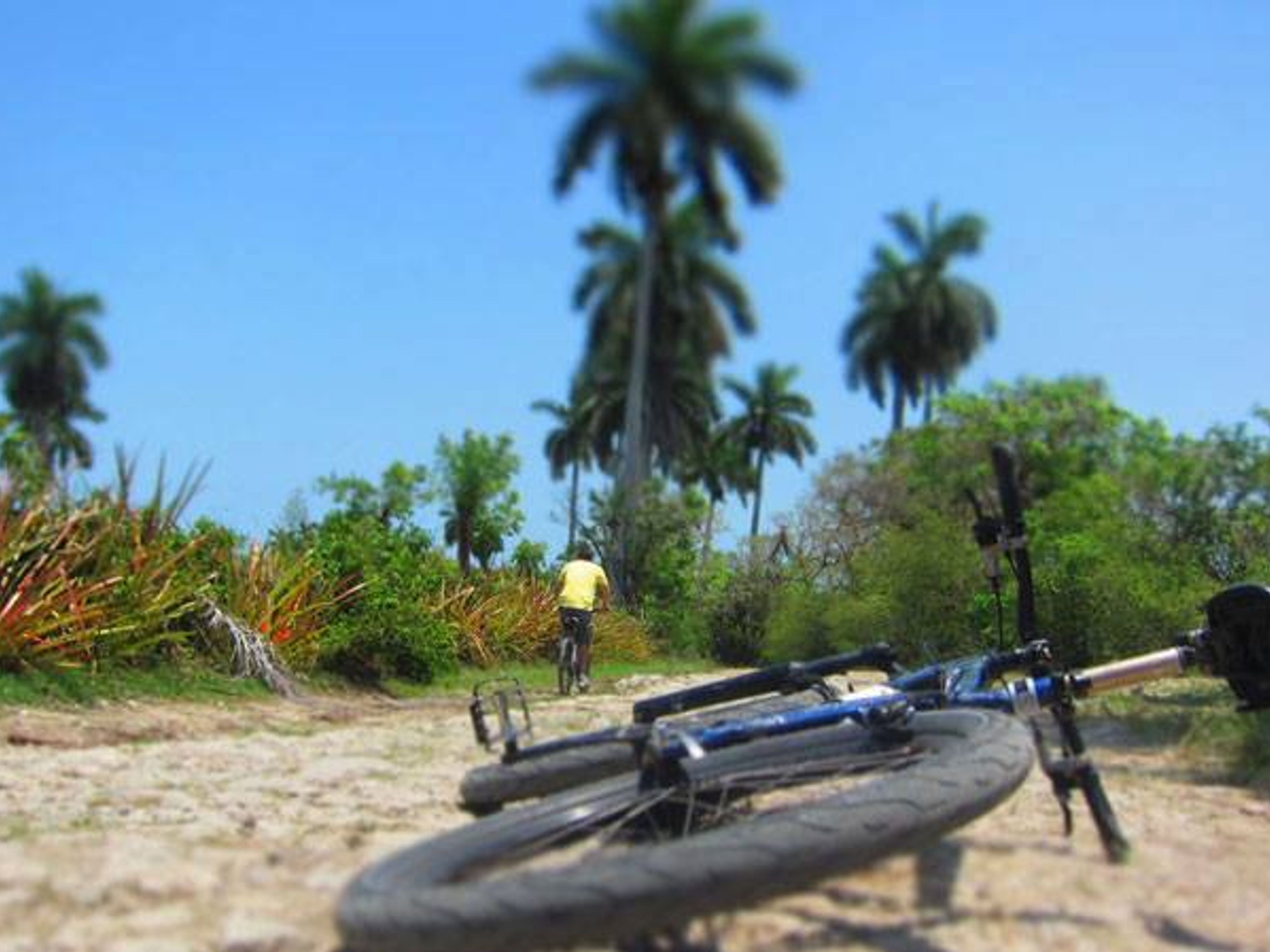 "LANDSCHAFT UND STRAND" Fahrradtour. "COUNTRYSIDE AND BEACH" Bike Tour, Havana, Cuba.