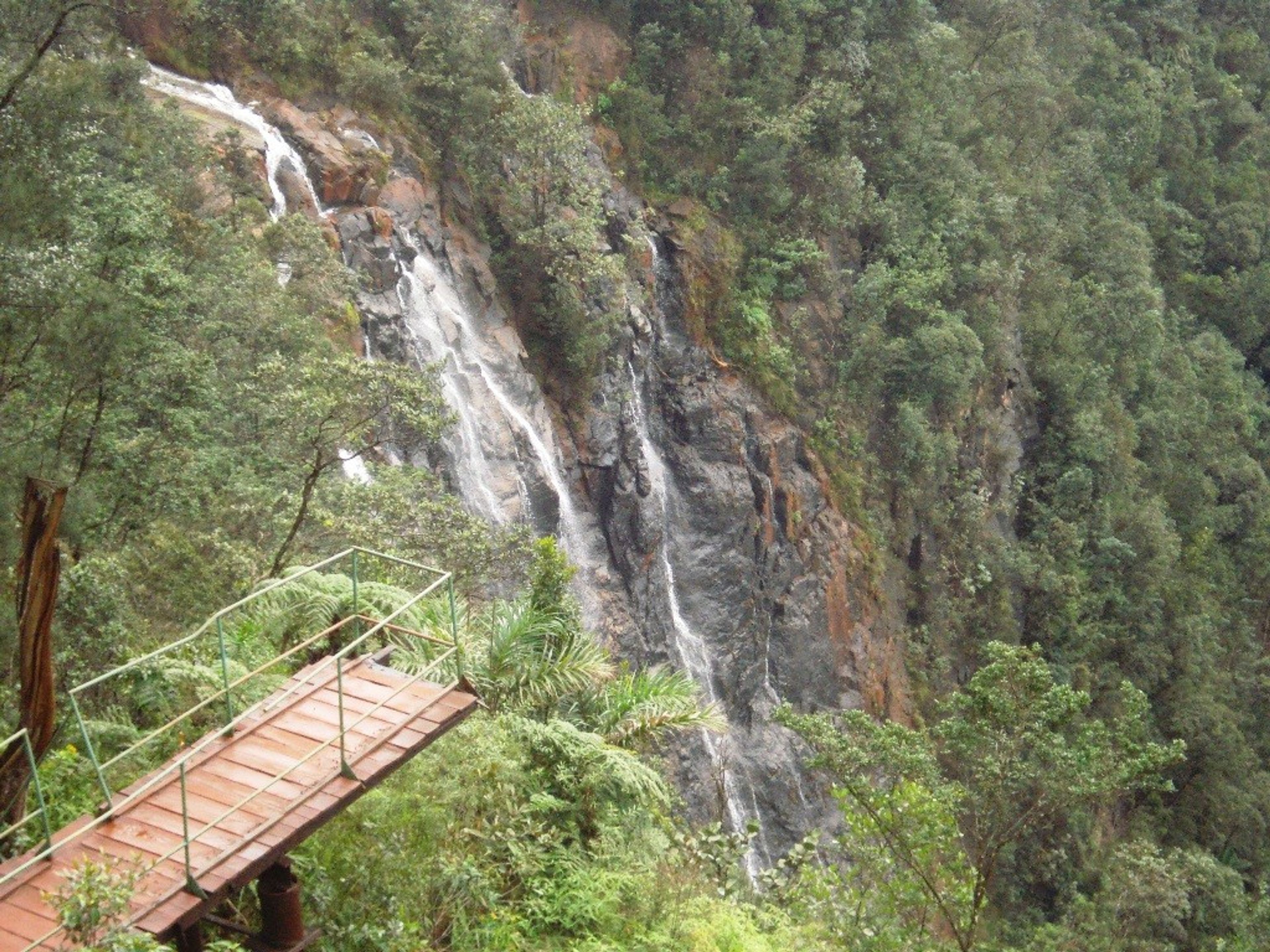 Jeep Safari "SALTO DEL GUAYABO". .El Guayabo water falls, La Mensura National Park, Pinares de Mayarí