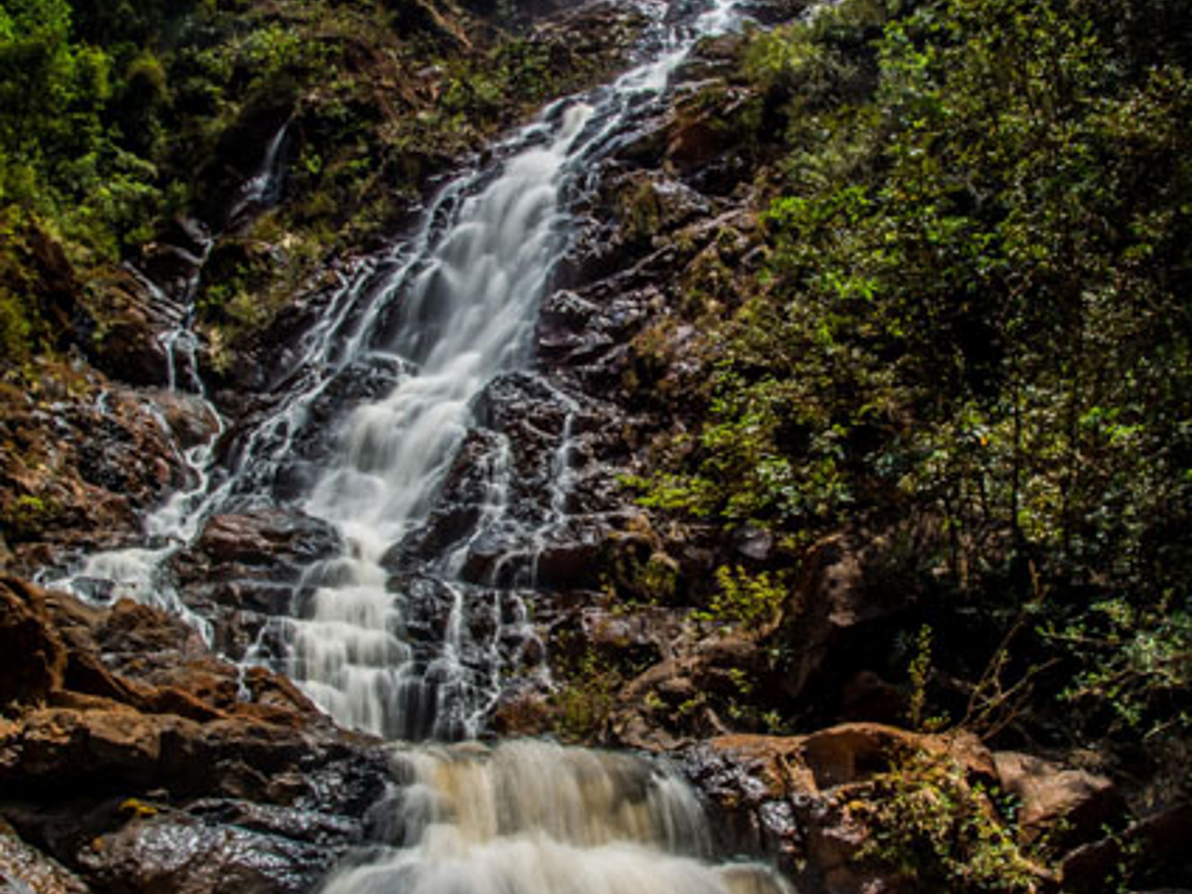 Jeep Safari "SALTO DEL GUAYABO". .El Guayabo water falls, La Mensura National Park, Pinares de Mayarí