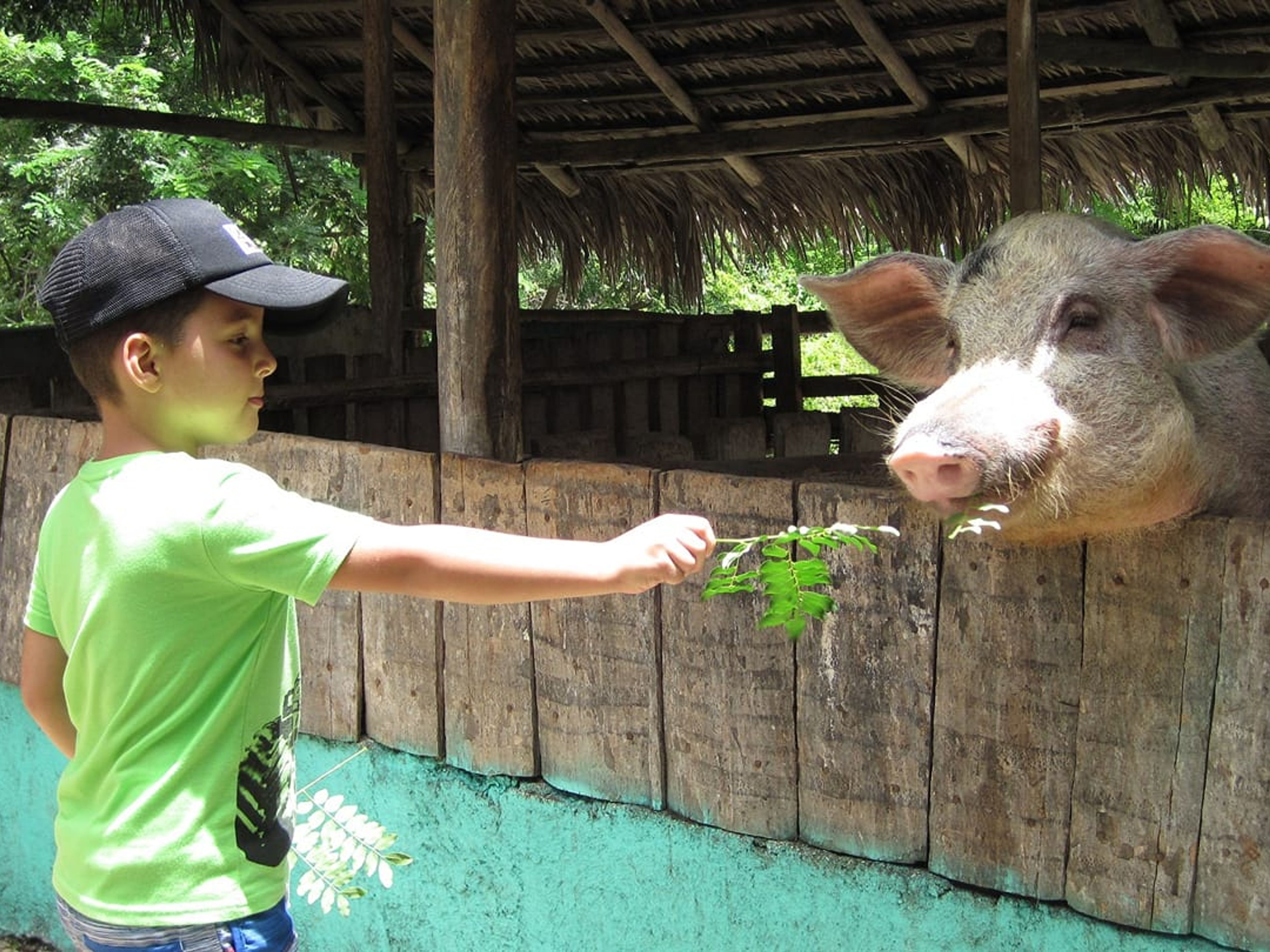 "REITEN IM BIOPARK ROCAZUL" Tour. Interaction with animals in the farmer's house, the Rocazul Biopark
