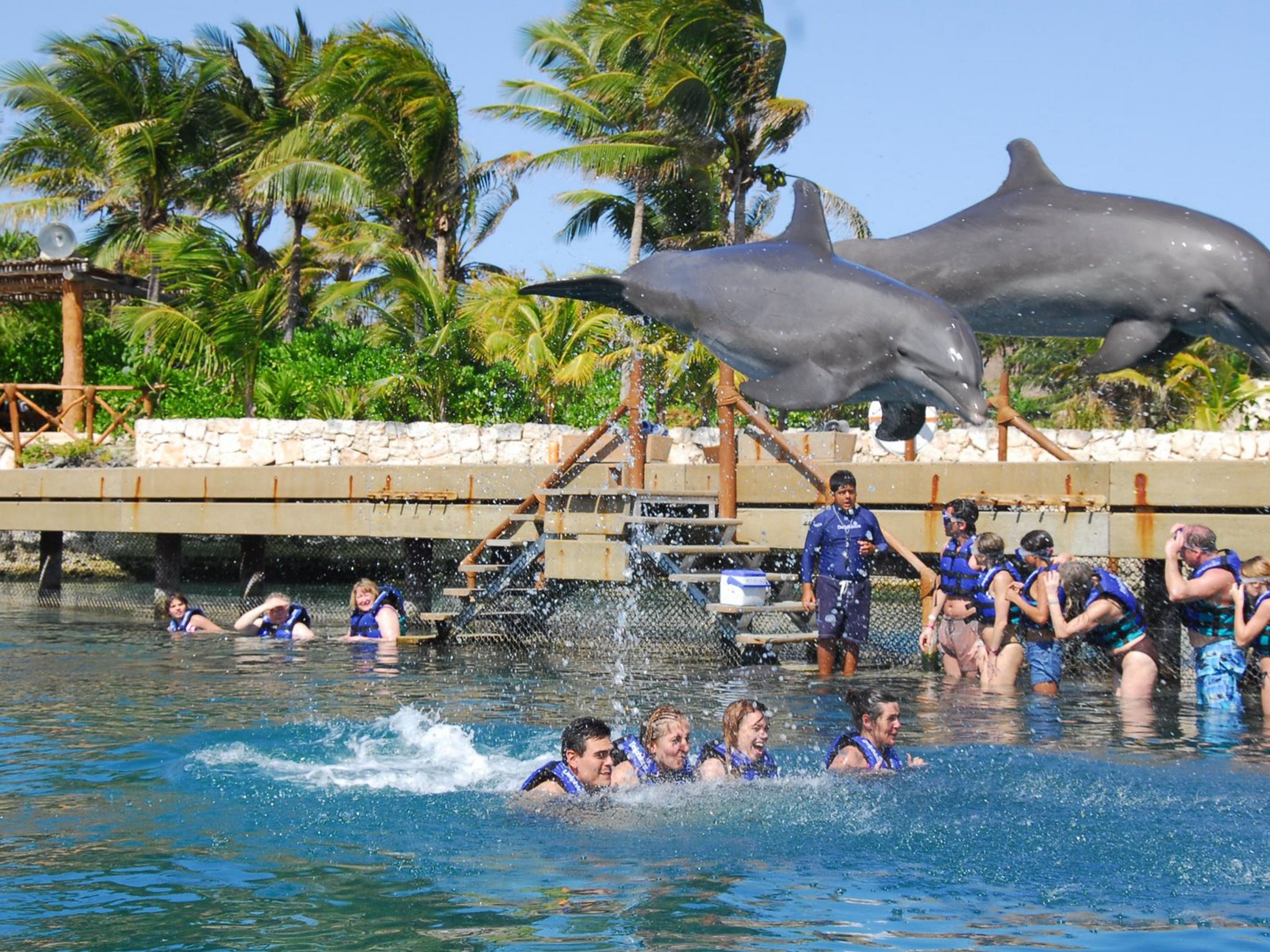 Тур "Xcaret Plus + Dolphin Interax". null