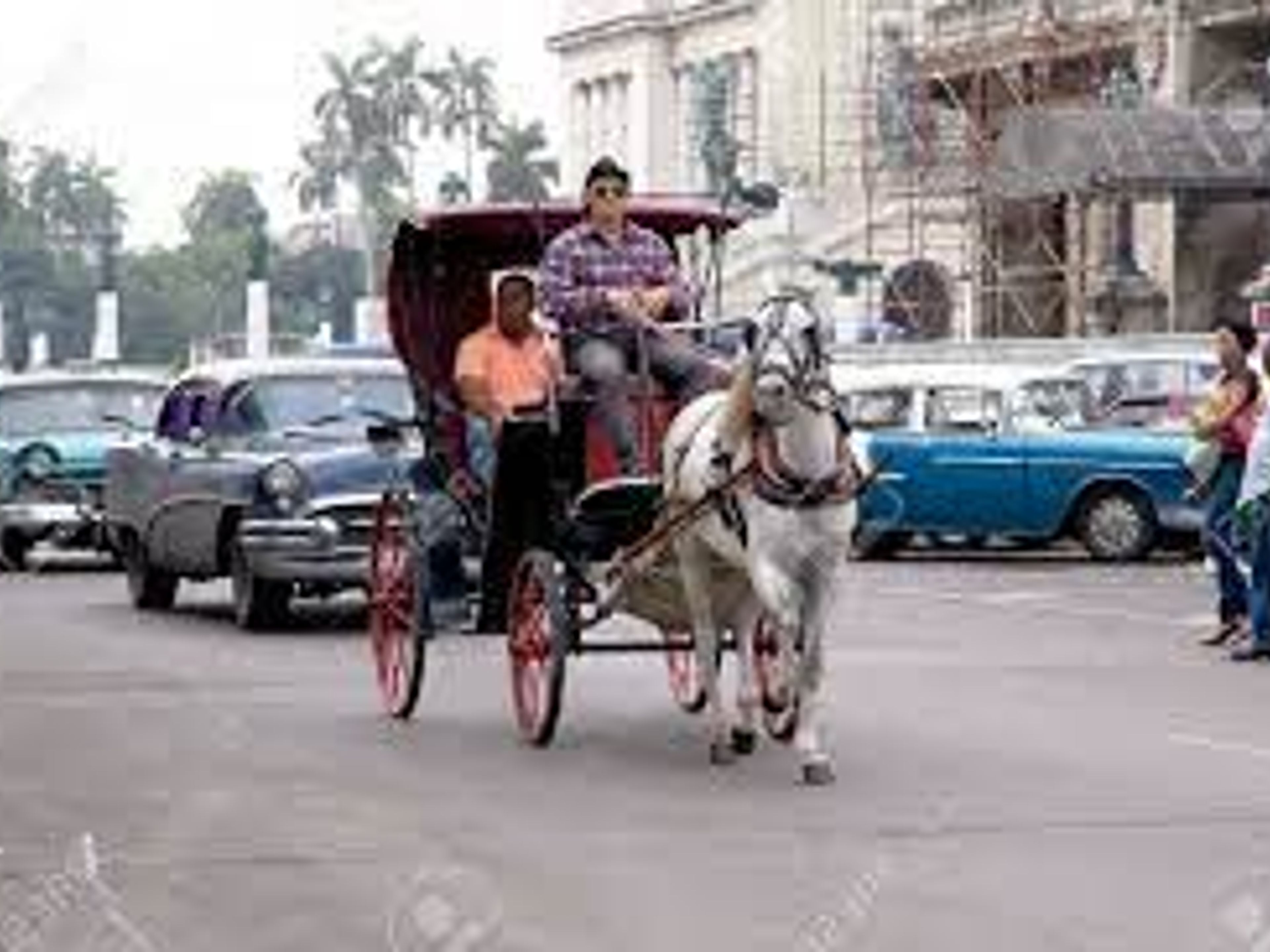 Excursión "RUTAS EN COCHES DE CABALLO POR LA HABANA". "HORSE CARRIAGE ROUTES IN HAVANA" Tour, Old Havana, Havana, Cuba.