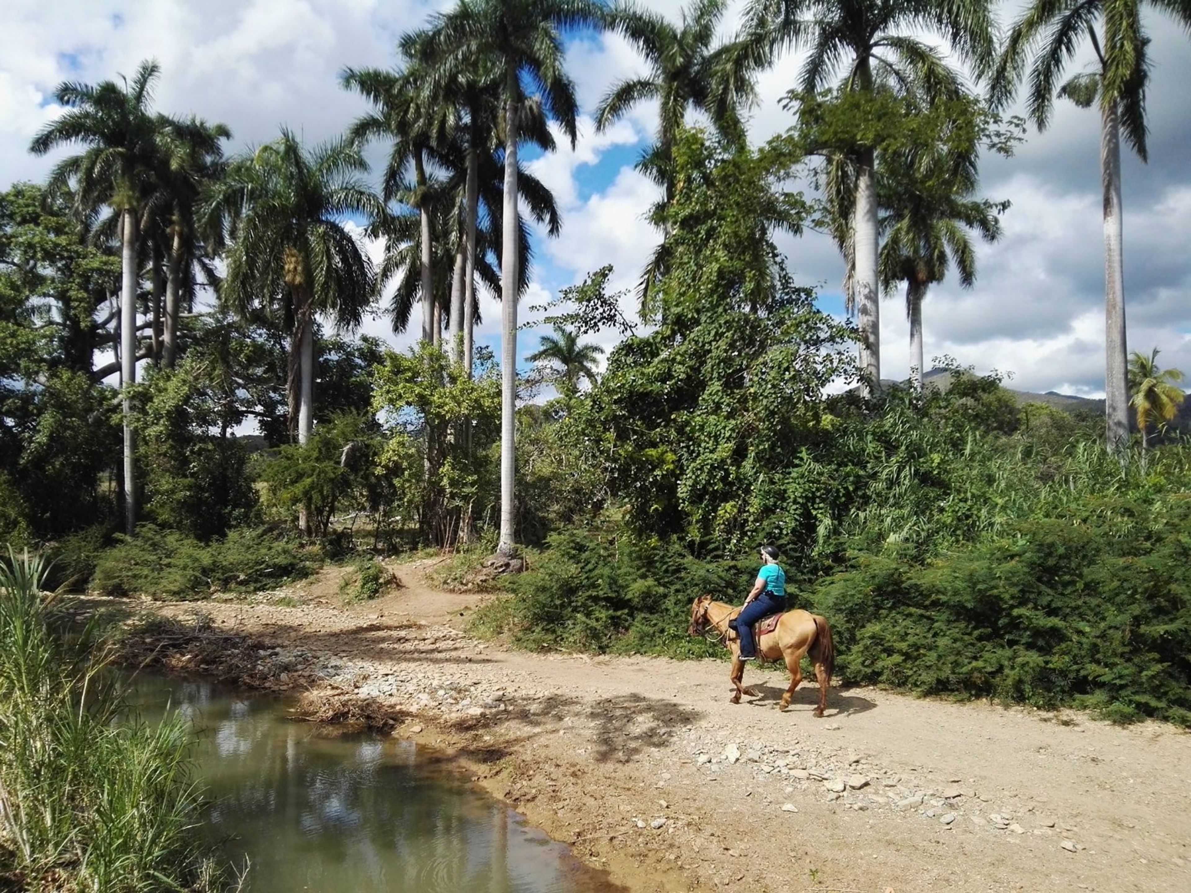 Excursión “a Caballo  a Cascada El Pilón”. “Horseback Riding to Waterfall El Pilón” Tour, Trinidad