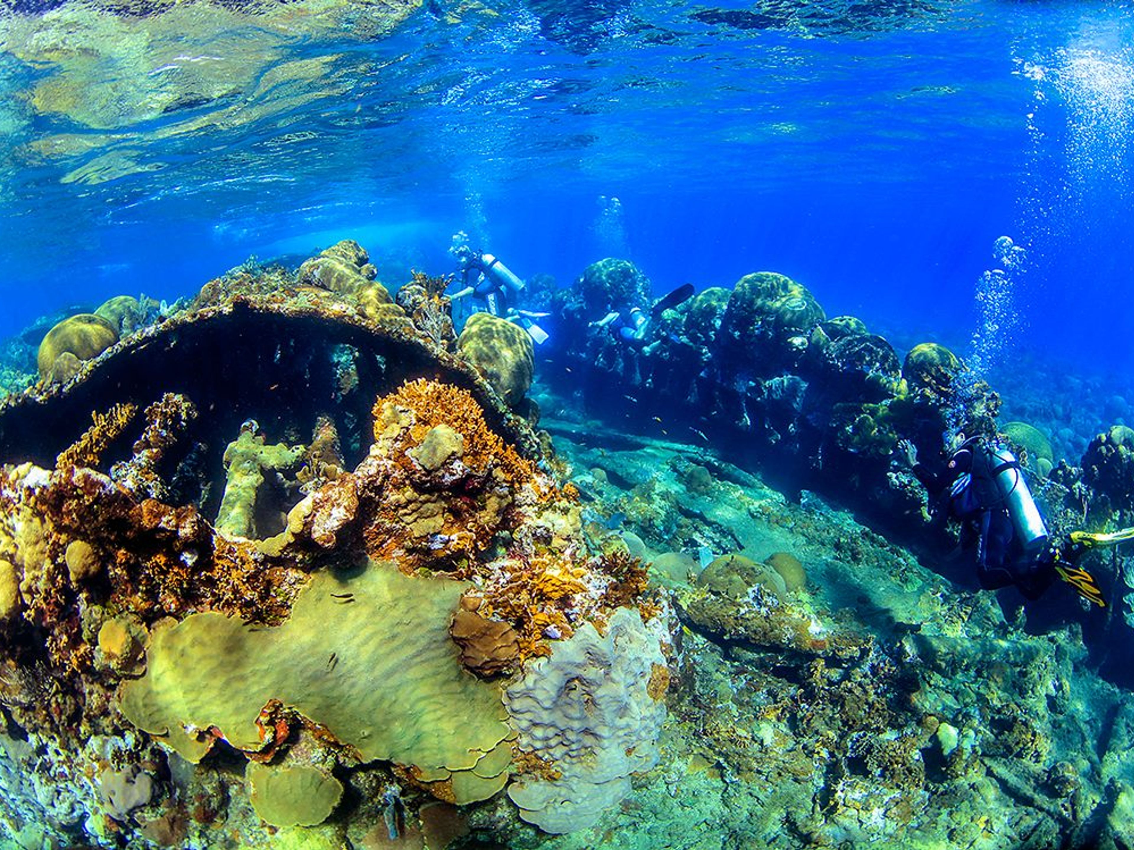Scuba Diving in Wrecks of the Hispanic - Cuban and North American War of 1898. "ADMIRAL OQUENDO BATTLESHIP CRUISE".. DIVING IN WRECKS OF THE HISPANIC - CUBAN - NORTH AMERICAN WAR OF 1898. "ADMIRAL OQUENDO BATTLESHIP CRUISE"
