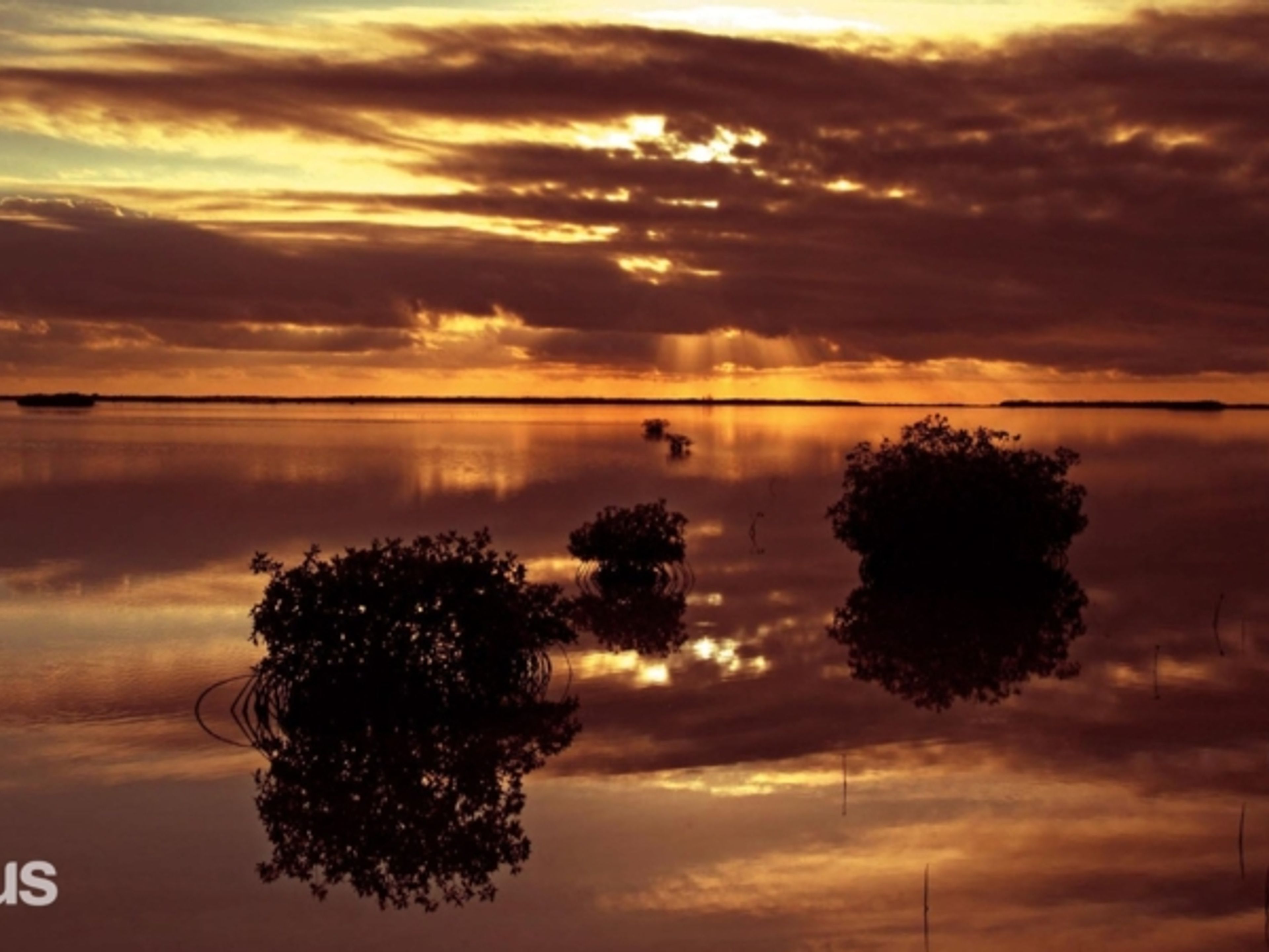 Tour "COUCHER DE SOLEIL EXCLUSIF AVEC DÎNER DANS LES JARDINES DEL REY (JUSQU'À 4 PAX)". "EXCLUSIVE SUNSET WITH DINNER IN THE JARDINES DEL REY" Tour, Ciego de Ávila, Cuba.