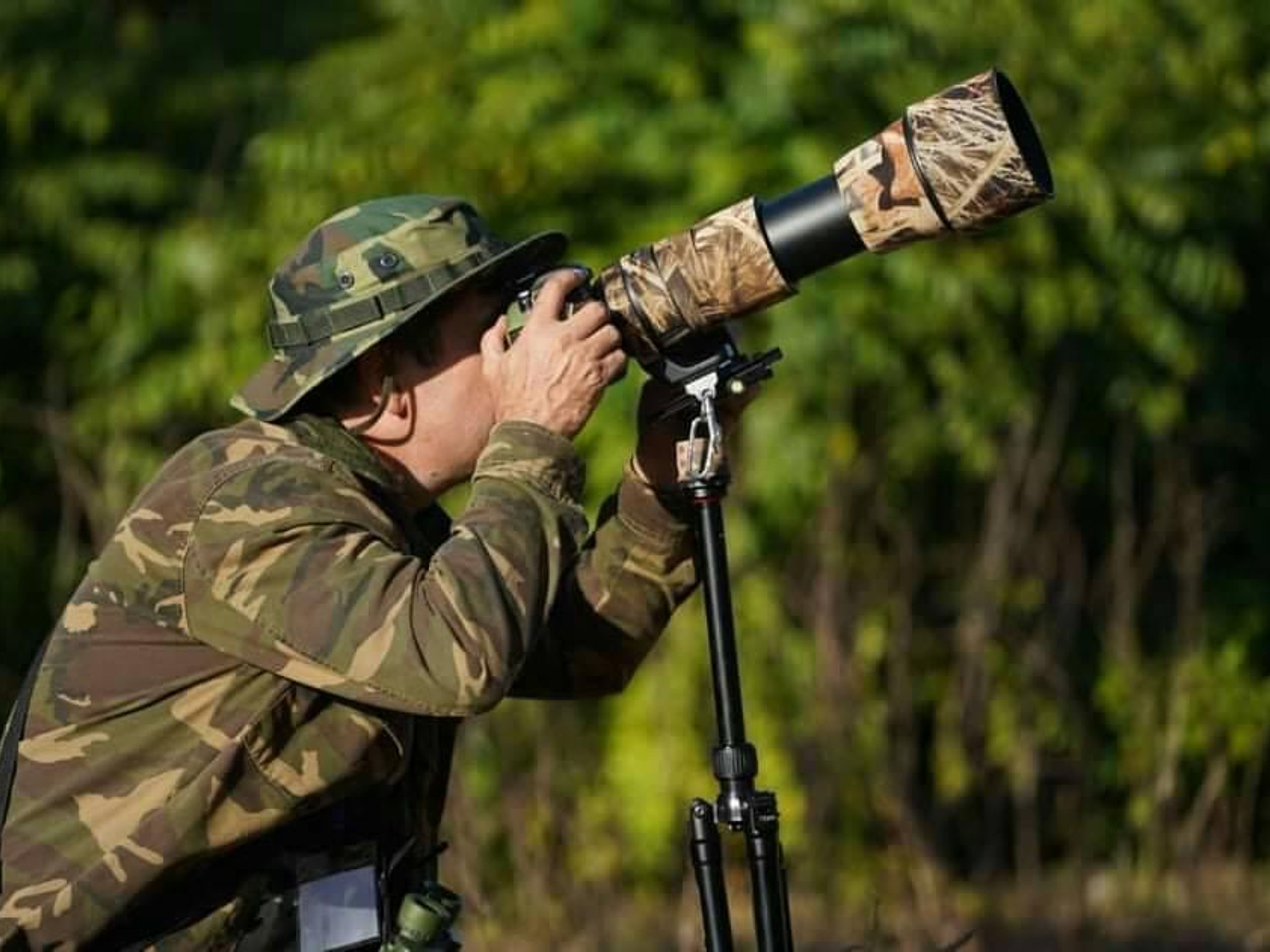 Visita à Natureza "Birdwatching on the Hondones Trail". null