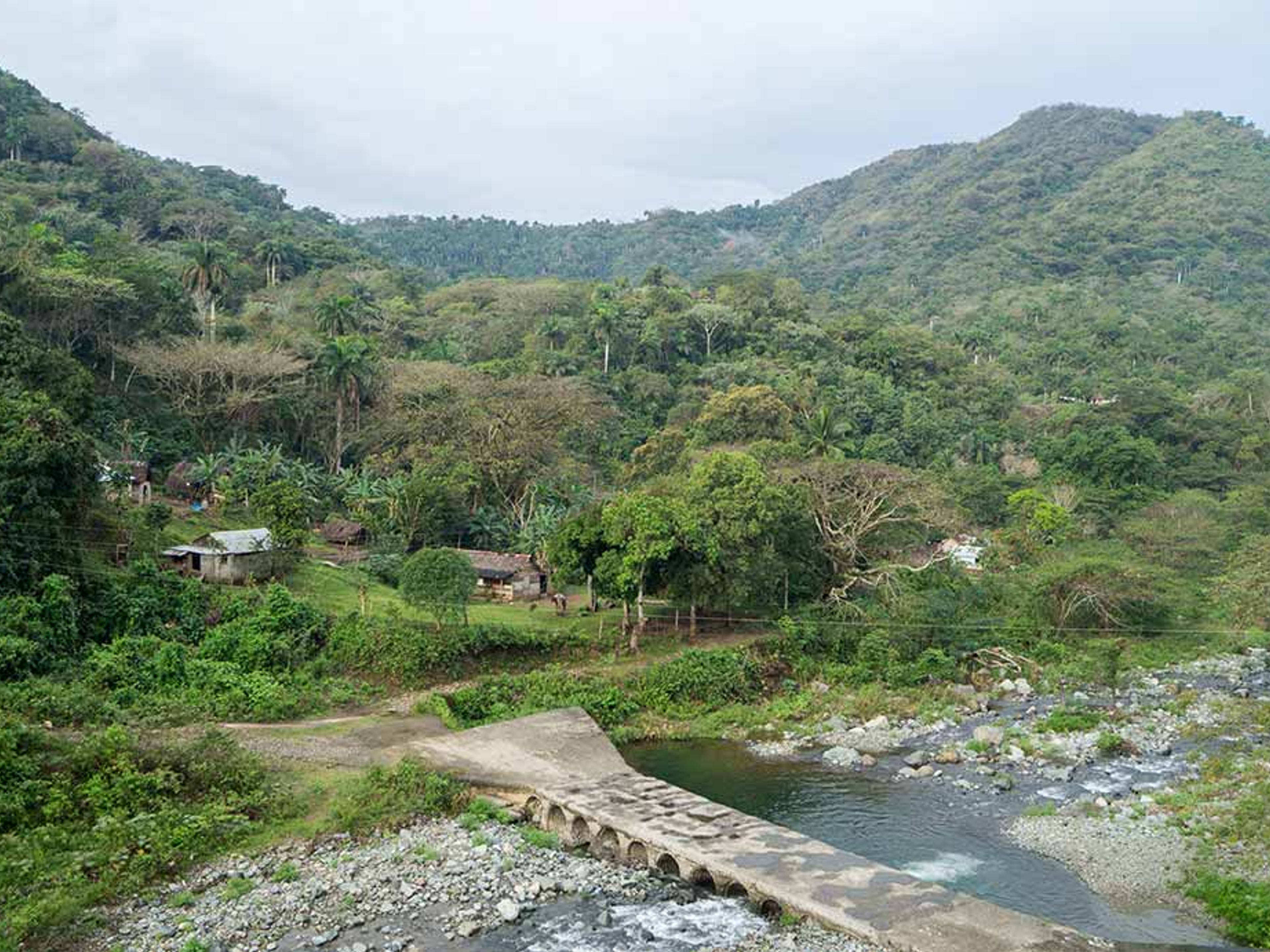 Треккинг Tур  “ПИКО РЕАЛ ДЕЛЬ ТУРКИНО” (2 дня / 1 ночь). Santo Domingo town, Turquino National Park, Granma, Cuba.