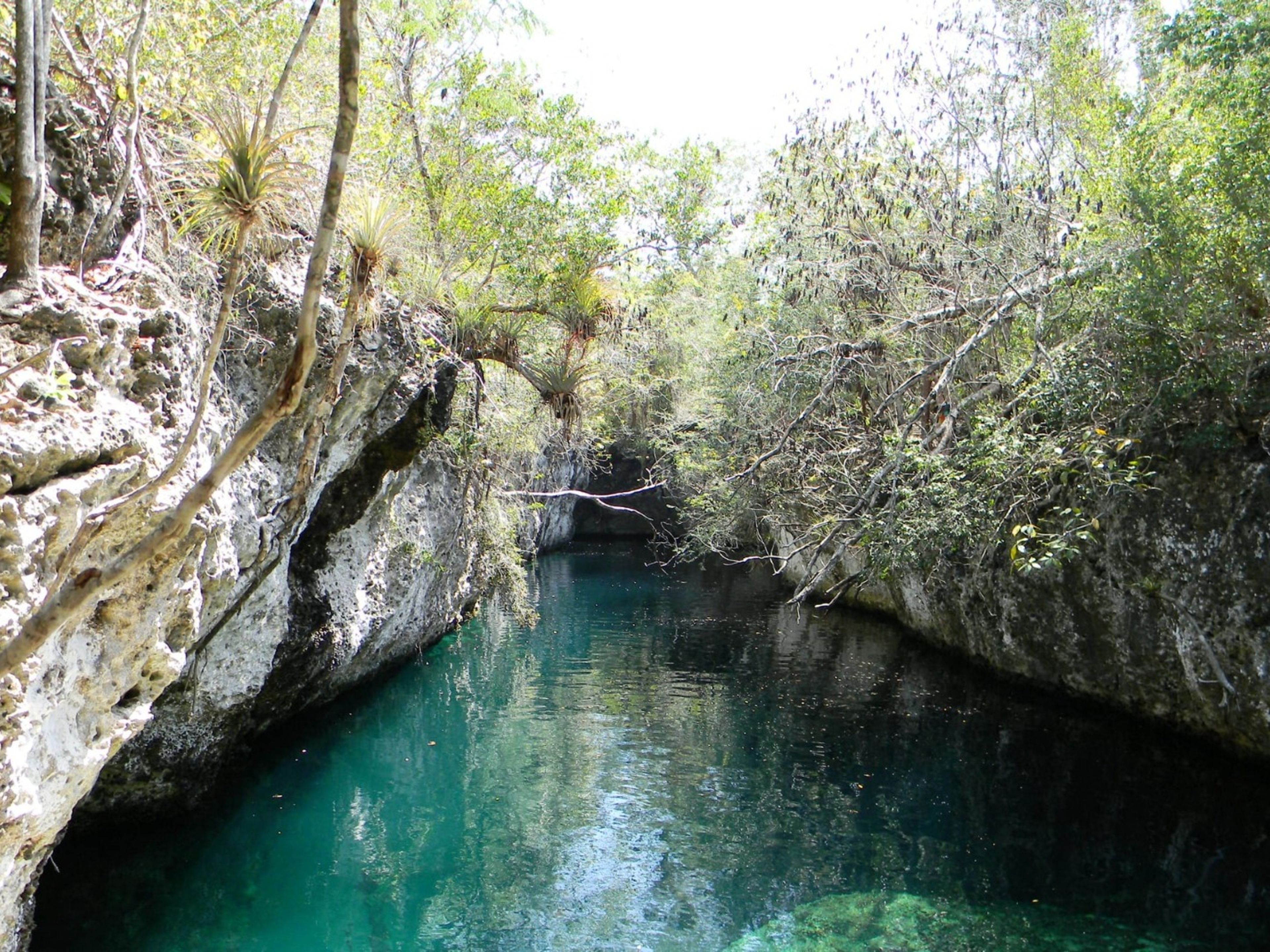 Excursión "SENDERISMO Y OBSERVACIÓN DE AVES EN ENIGMAS DE LAS ROCAS"