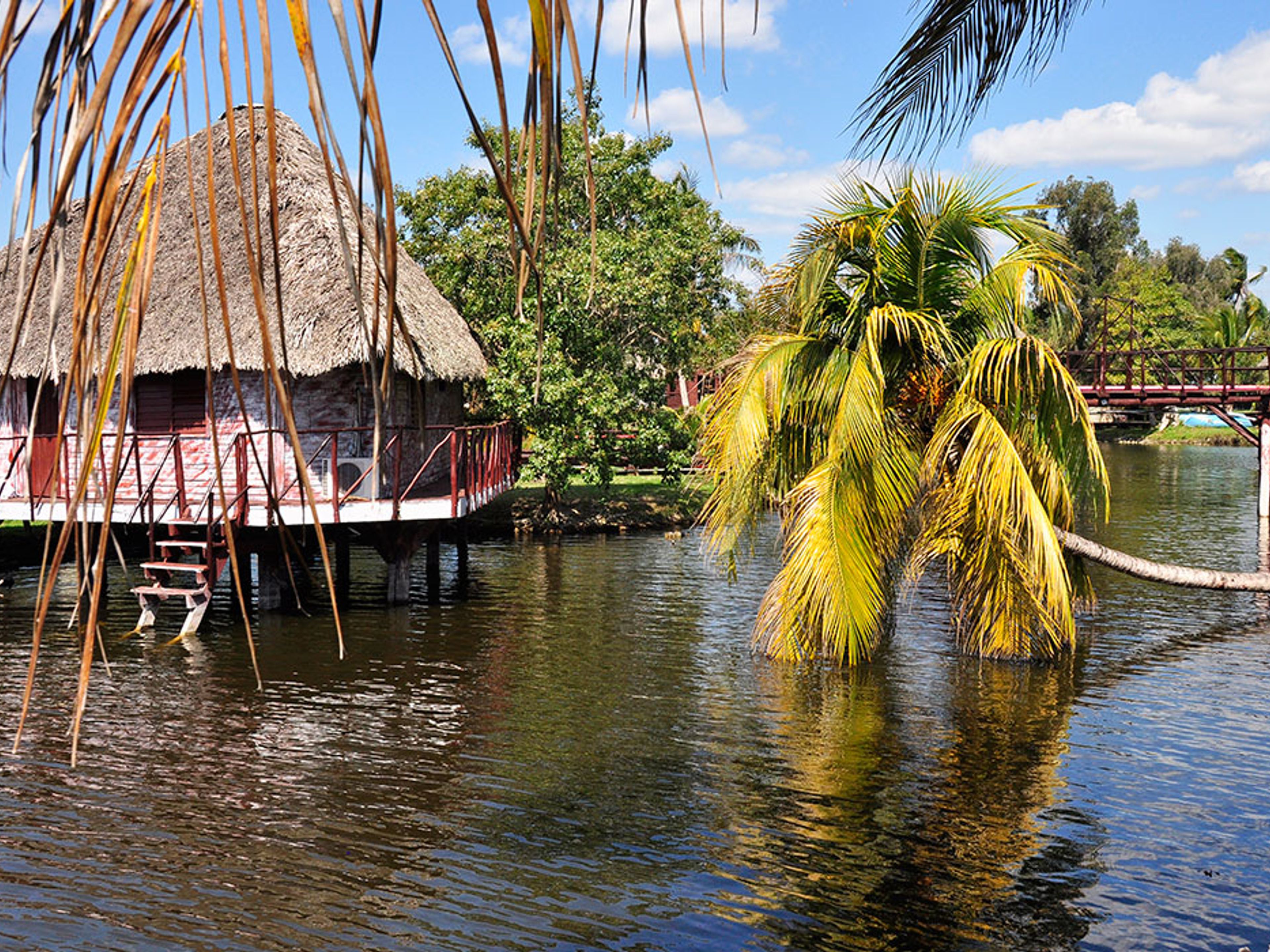 "Cienfuegos - Ciénaga de Zapata" Tour