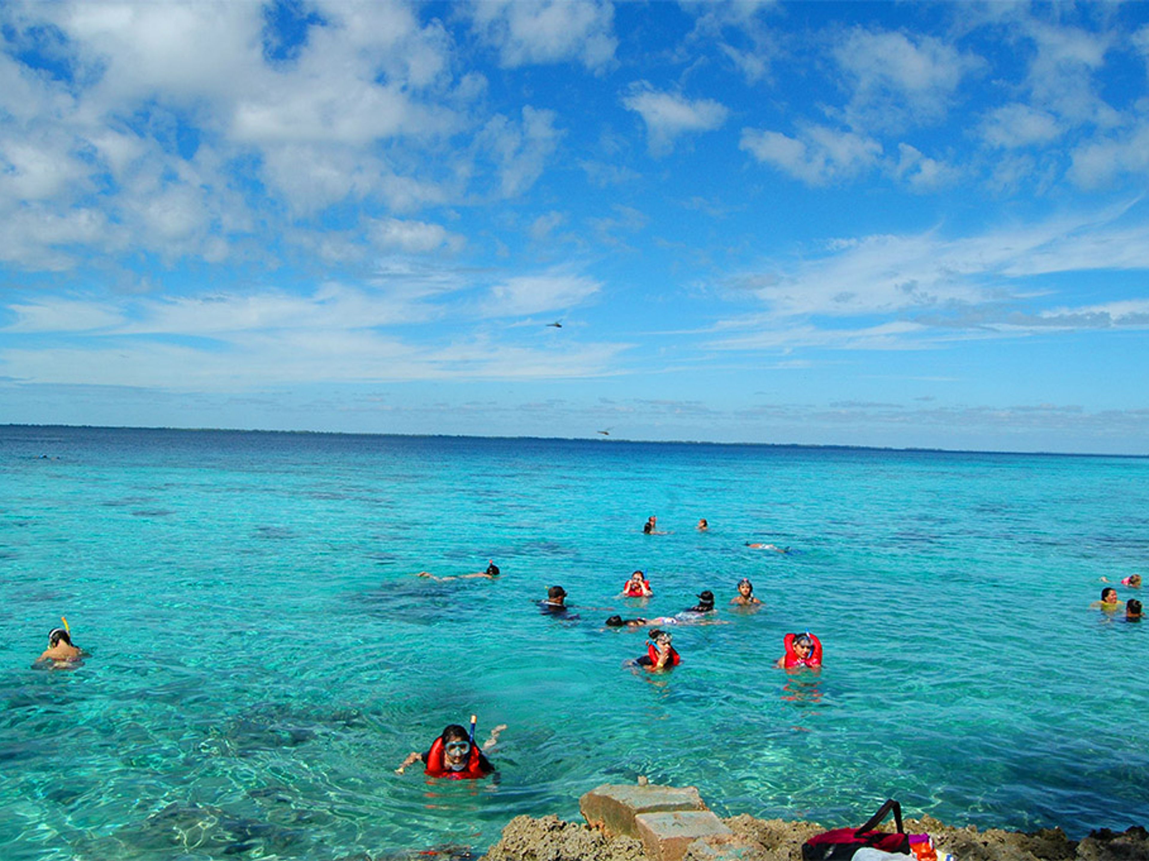"Cienfuegos - Ciénaga de Zapata" Tour. null