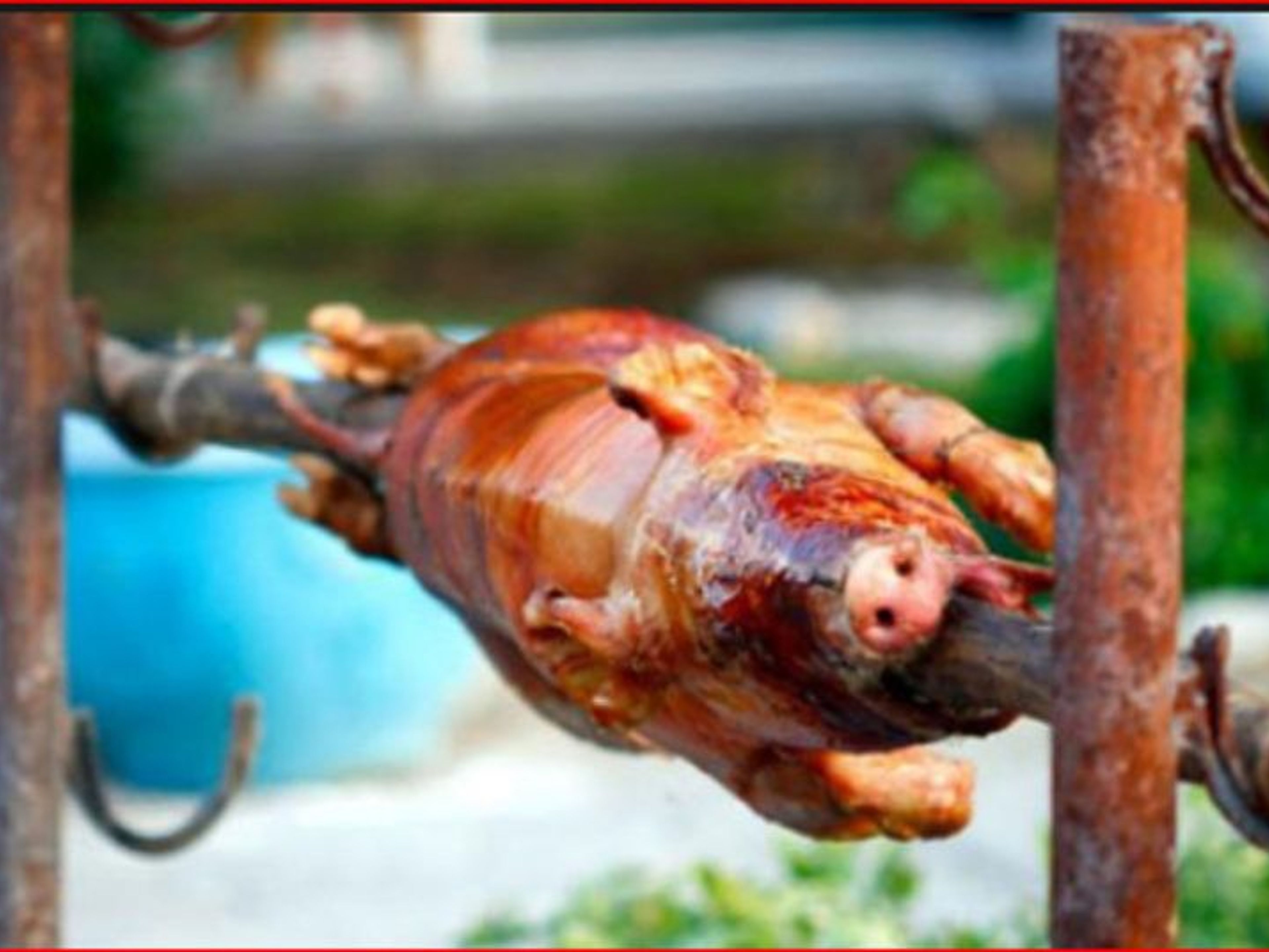 Tour "SAPORE CUBANO". Roasted pork, Creole food, "Cuban Flavor" Tour