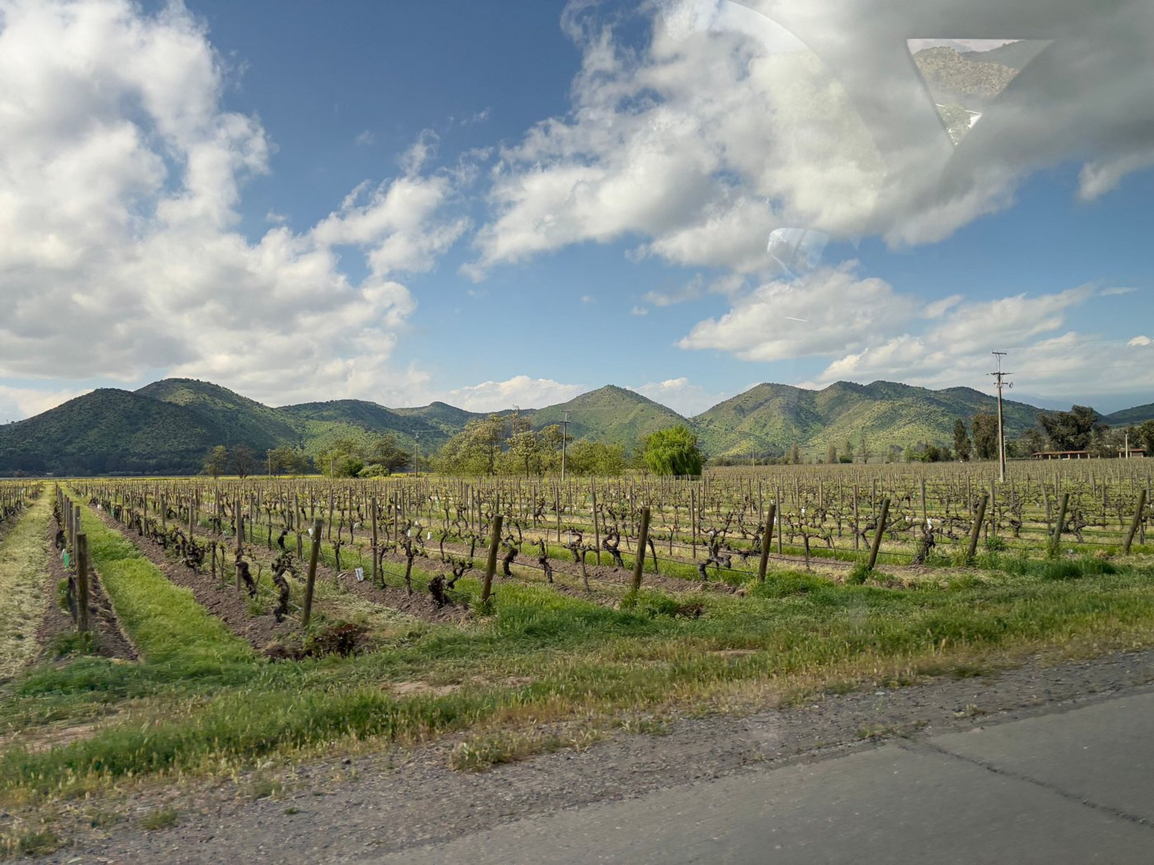 Tур "ВИНОДЕЛЬНЯ HARAS DE PIRQUE". “HARAS DE PIRQUE WINERY” Tour, Chile.