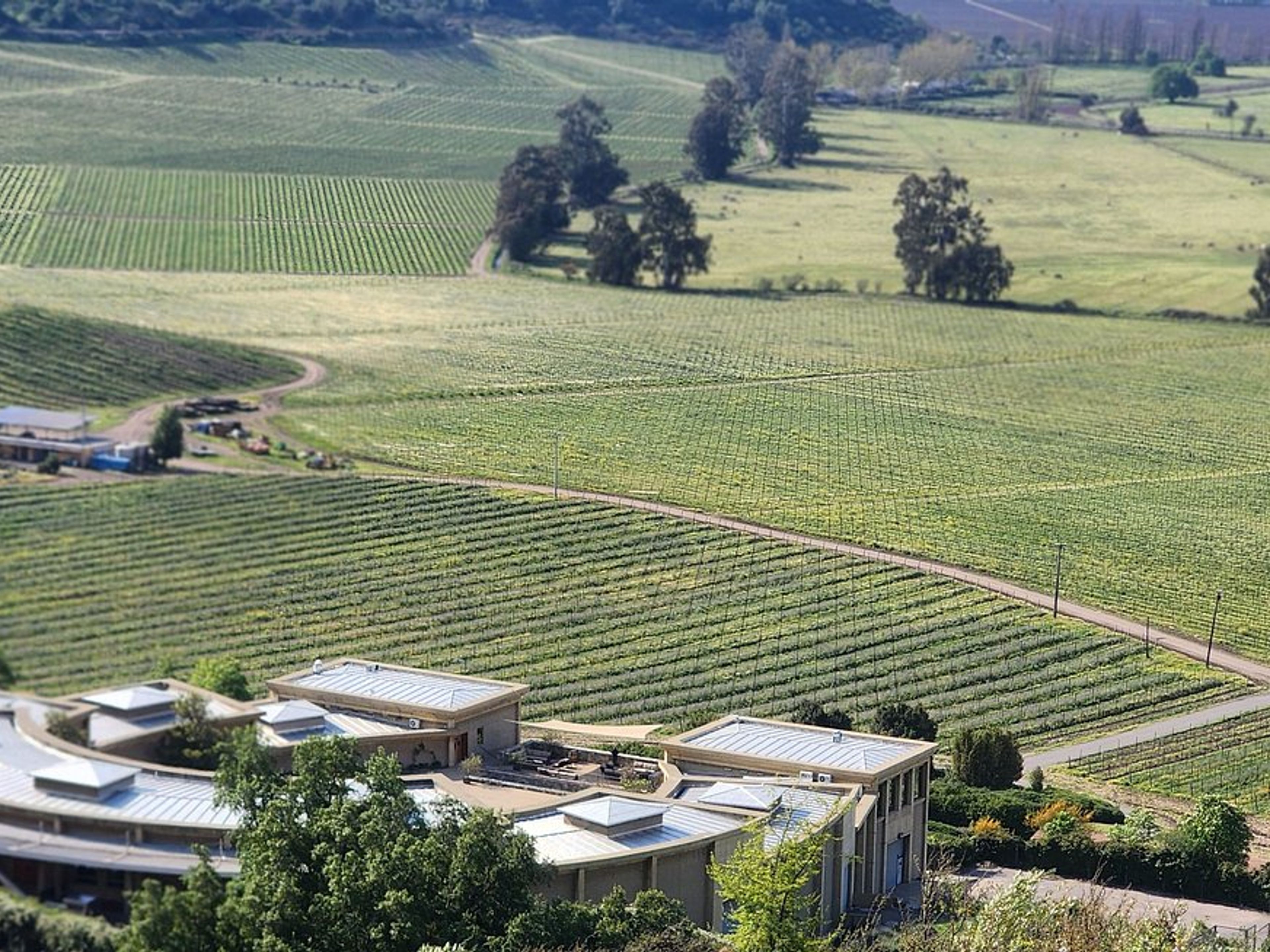 Tур "ВИНОДЕЛЬНЯ HARAS DE PIRQUE". “HARAS DE PIRQUE WINERY” Tour, Chile.