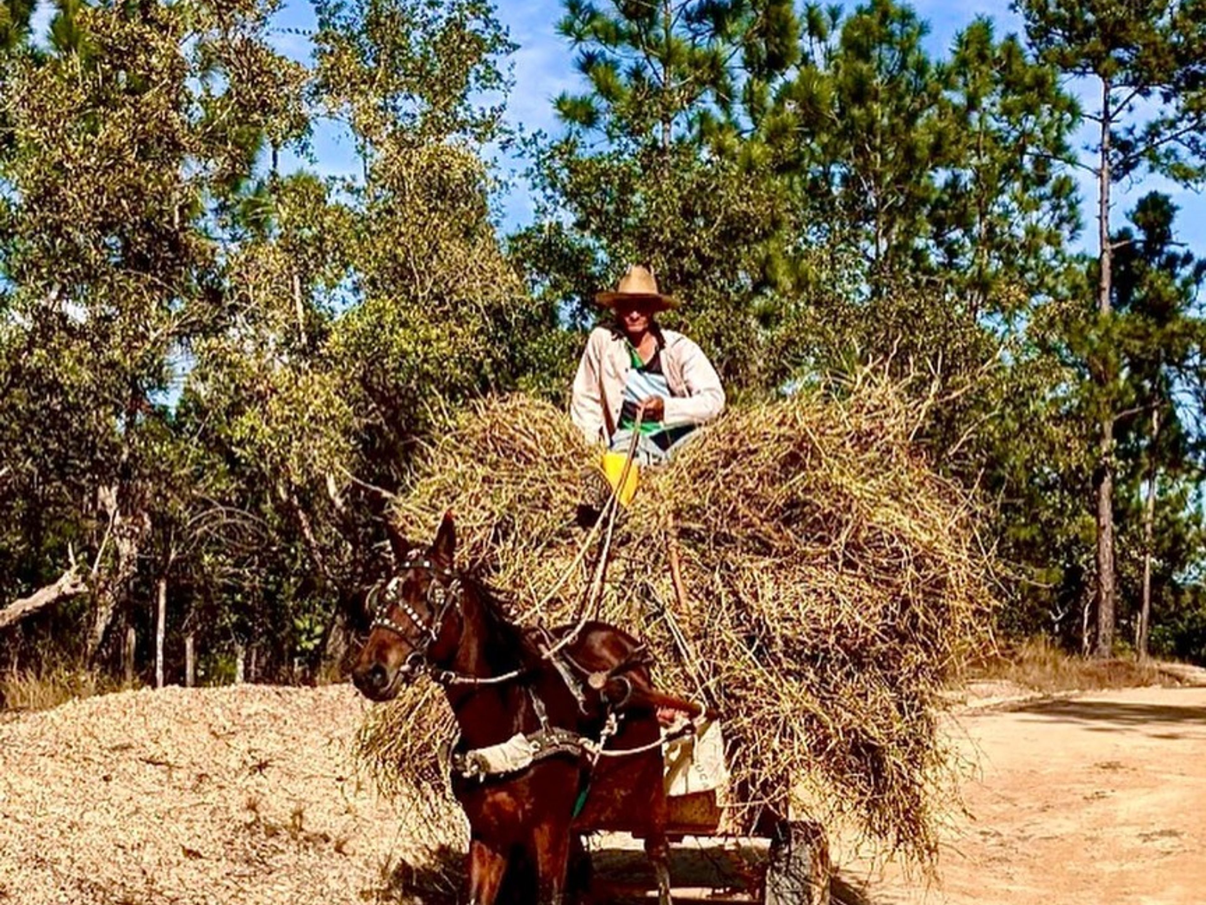 Tour “GIRO IN BUGGY: VISITA ALLA DIGA DI EL SALTO”. “BUGGY TOURS: VISIT TO EL SALTO DAM” Tour, Viñales, Pinar del Río, Cuba.