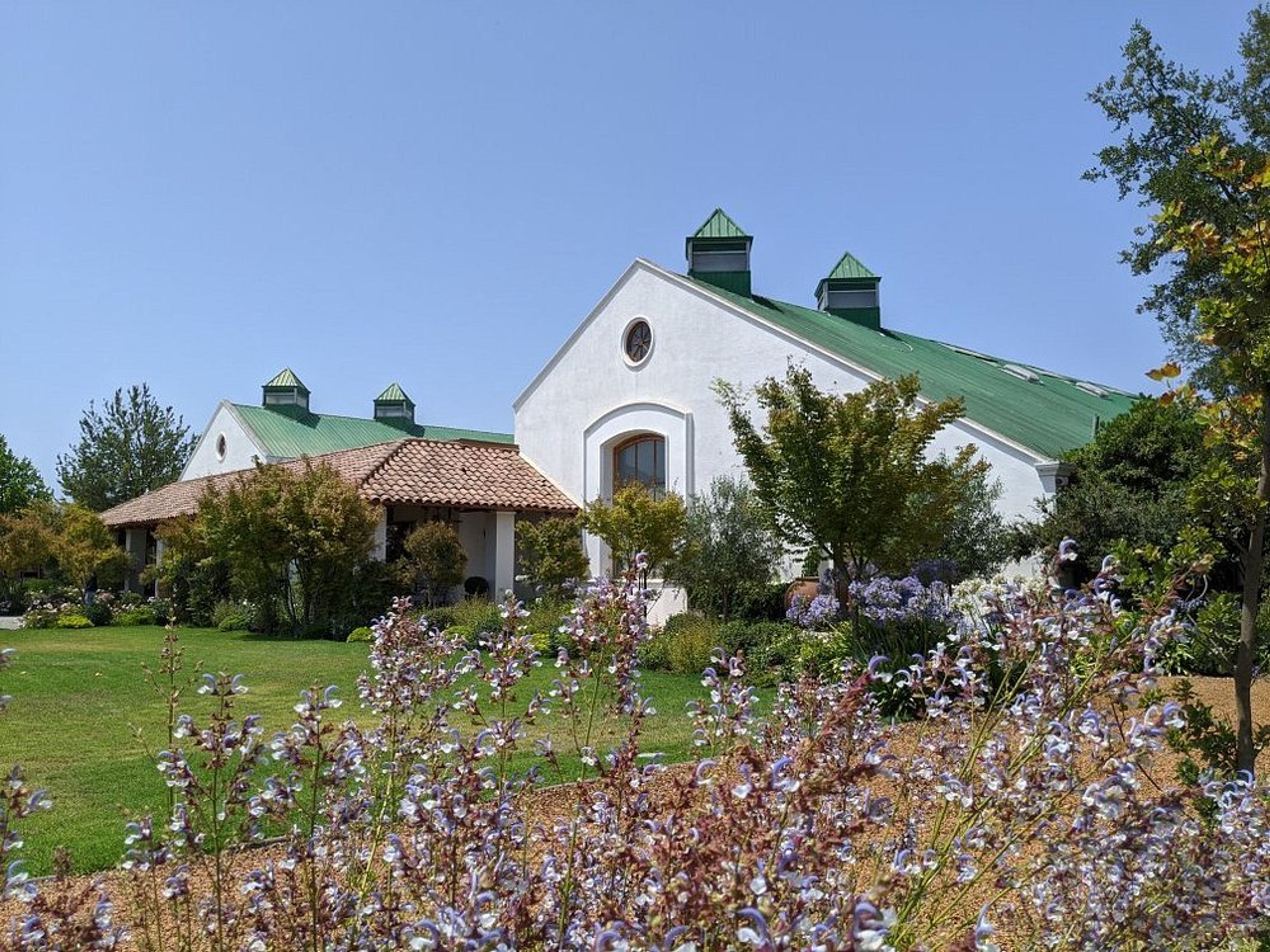 Tour "ROTTA DEL VINO DELLA VALLE DE CASABLANCA". “CASABLANCA VALLEY WINE ROUTE” Tour, Chile.
