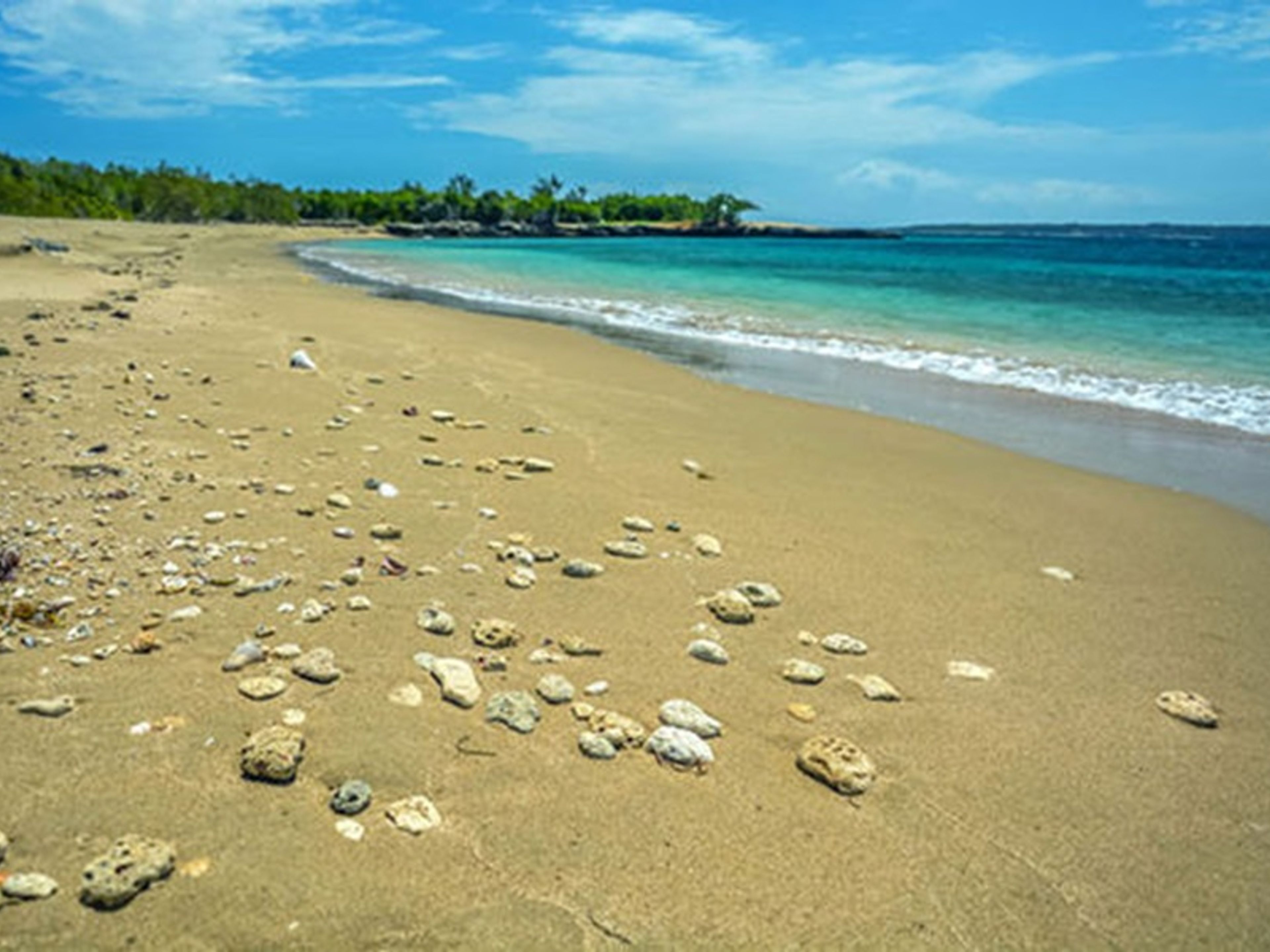 Excursão “PASSEIO E SNORKELING NA PRAIA DE RAMON DE ANTILLAS PLUS”. “RIDE AND SNORKELING AT RAMON DE ANTILLAS BEACH PLUS” Tour, Ramón de Antillas beach, Holguín, Cuba.