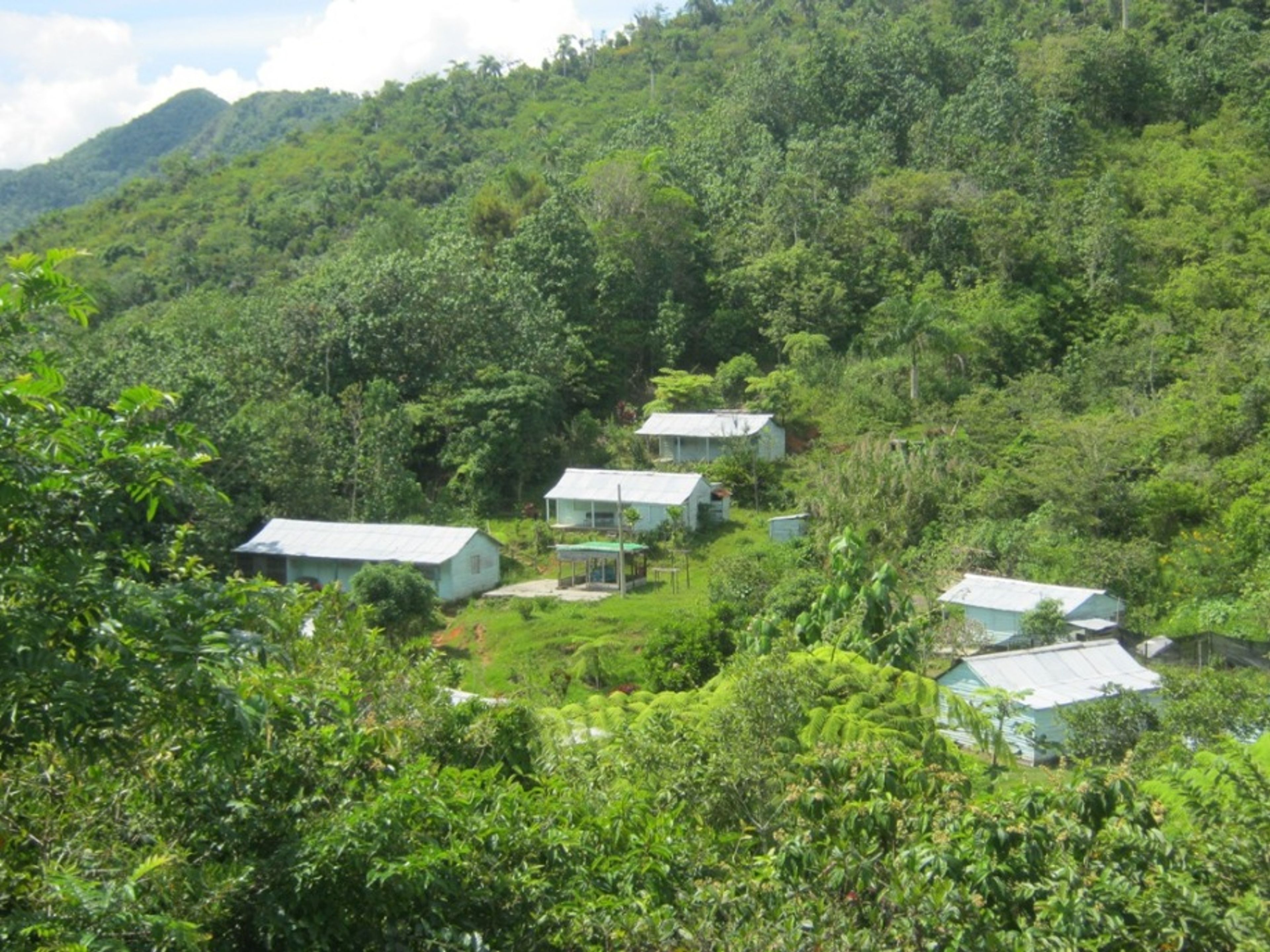 Excursión de Senderismo “PICO REAL DEL TURQUINO (DESDE VILLA SANTO DOMINGO)” (2 días / 1 noche). La Platica comunity, Turquino National Park, Granma