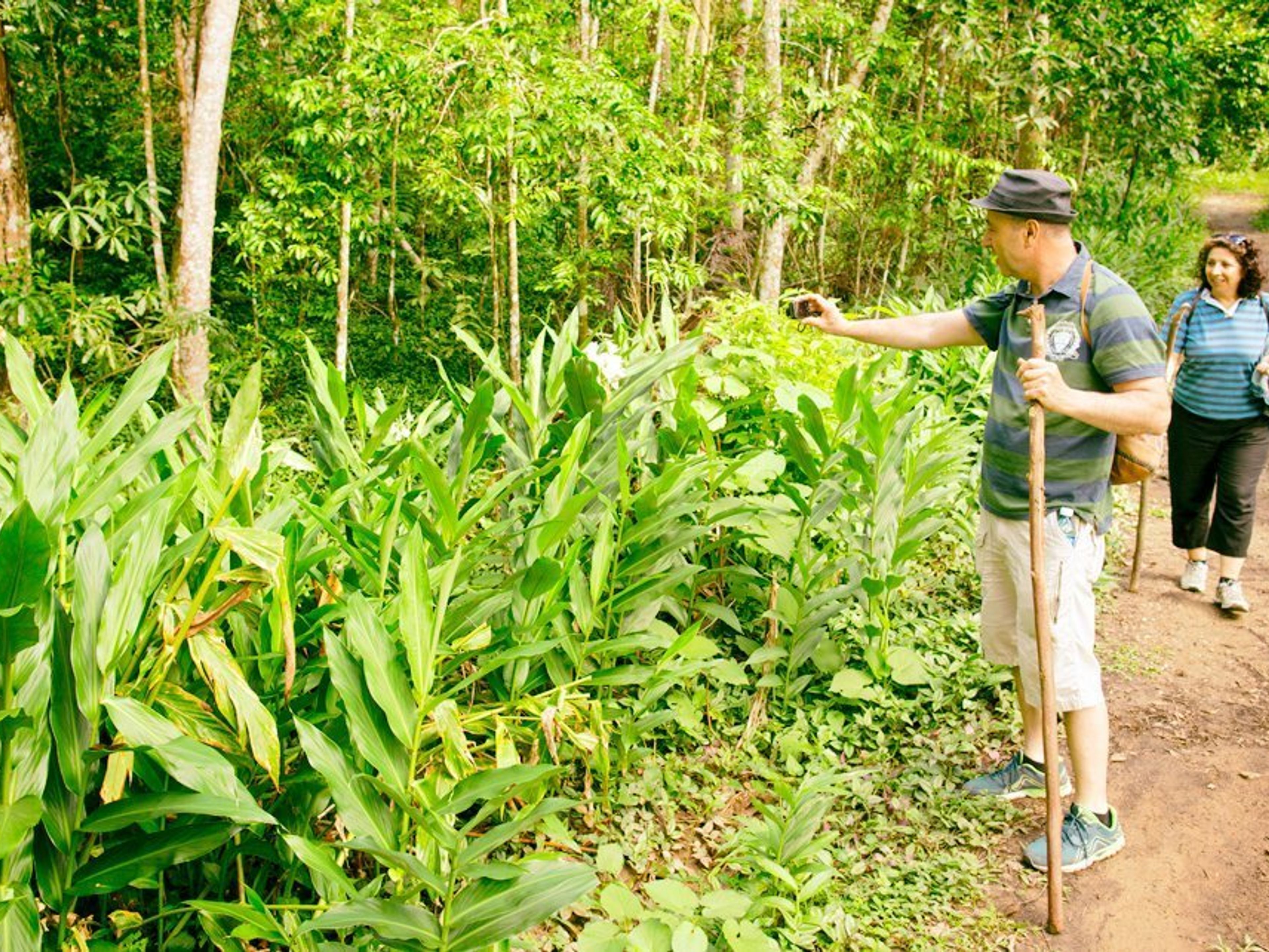 Jeep Safari "SANTA CLARA A LA CARTA". Jobo Rosado Biosphere Reserve