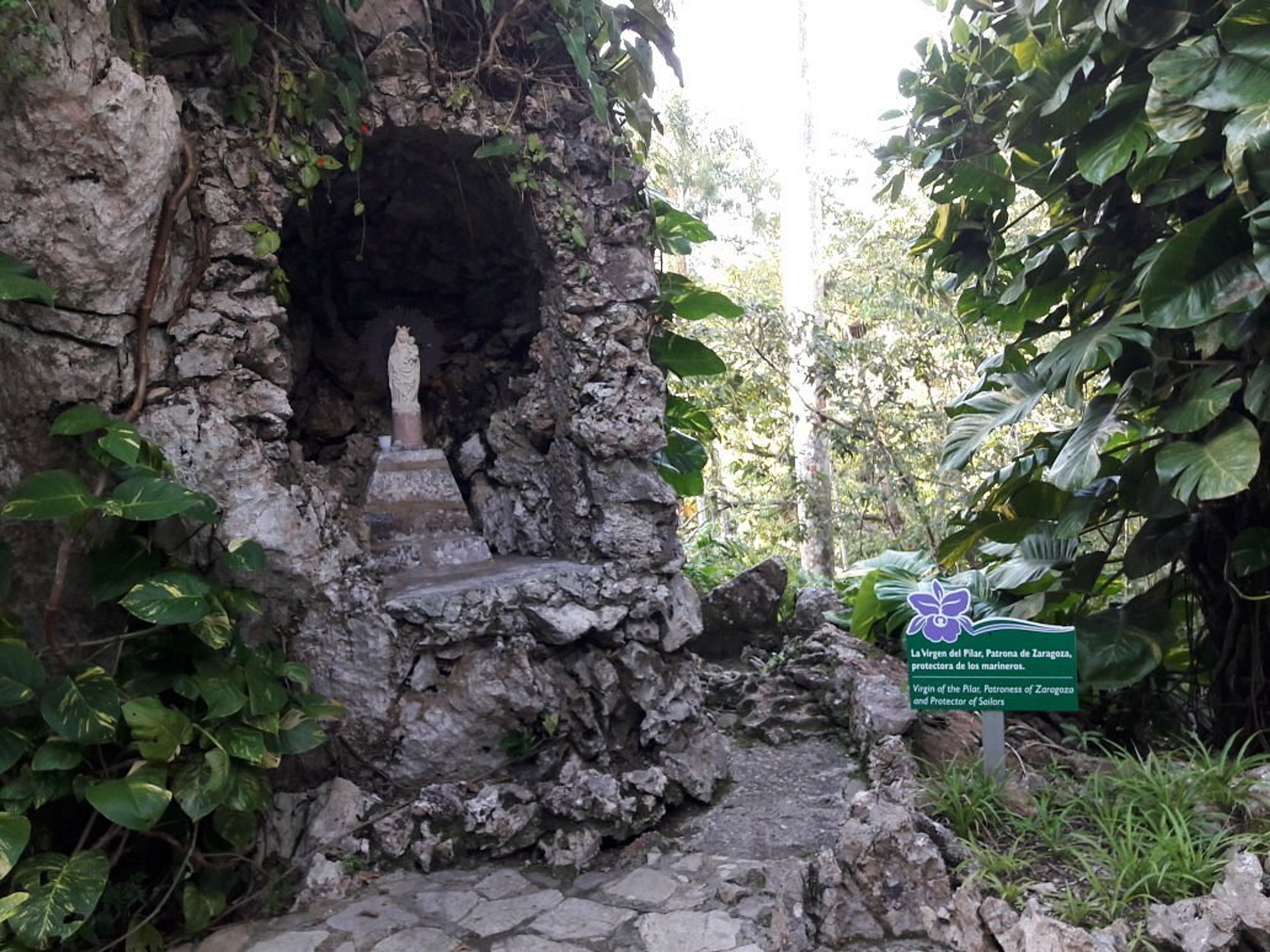 "BIRD WATCHING TRAIL IN SOROA NATURAL PARK" Tour. "BIRD WATCHING TRAIL IN SOROA NATURAL PARK" Tour, Artemisa, Cuba.