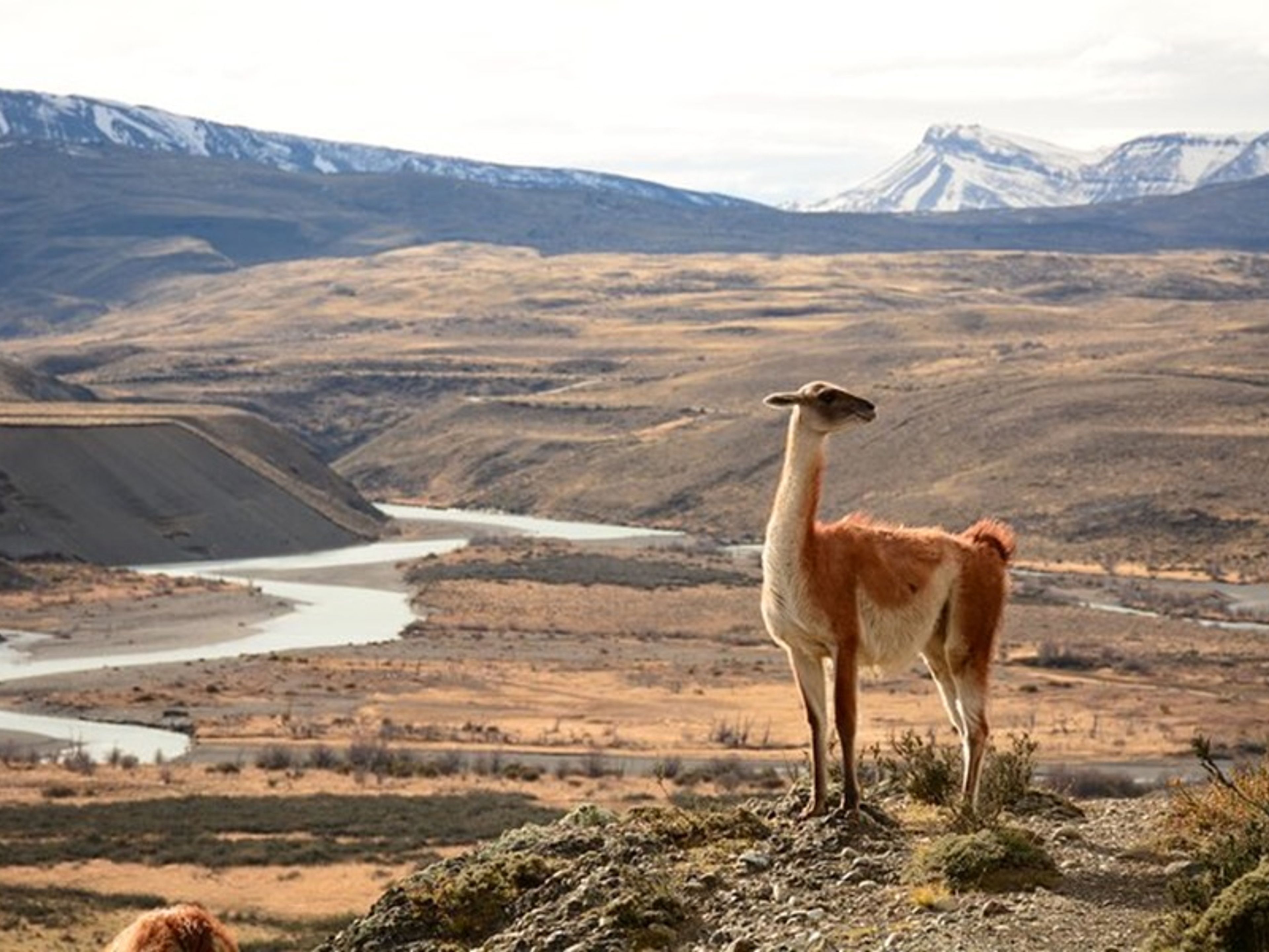“WANDERN PORTERIA SARMIENTO” Tour. “HIKING PORTERIA SARMIENTO” Tour, Torres del Paine National Park, Chile.