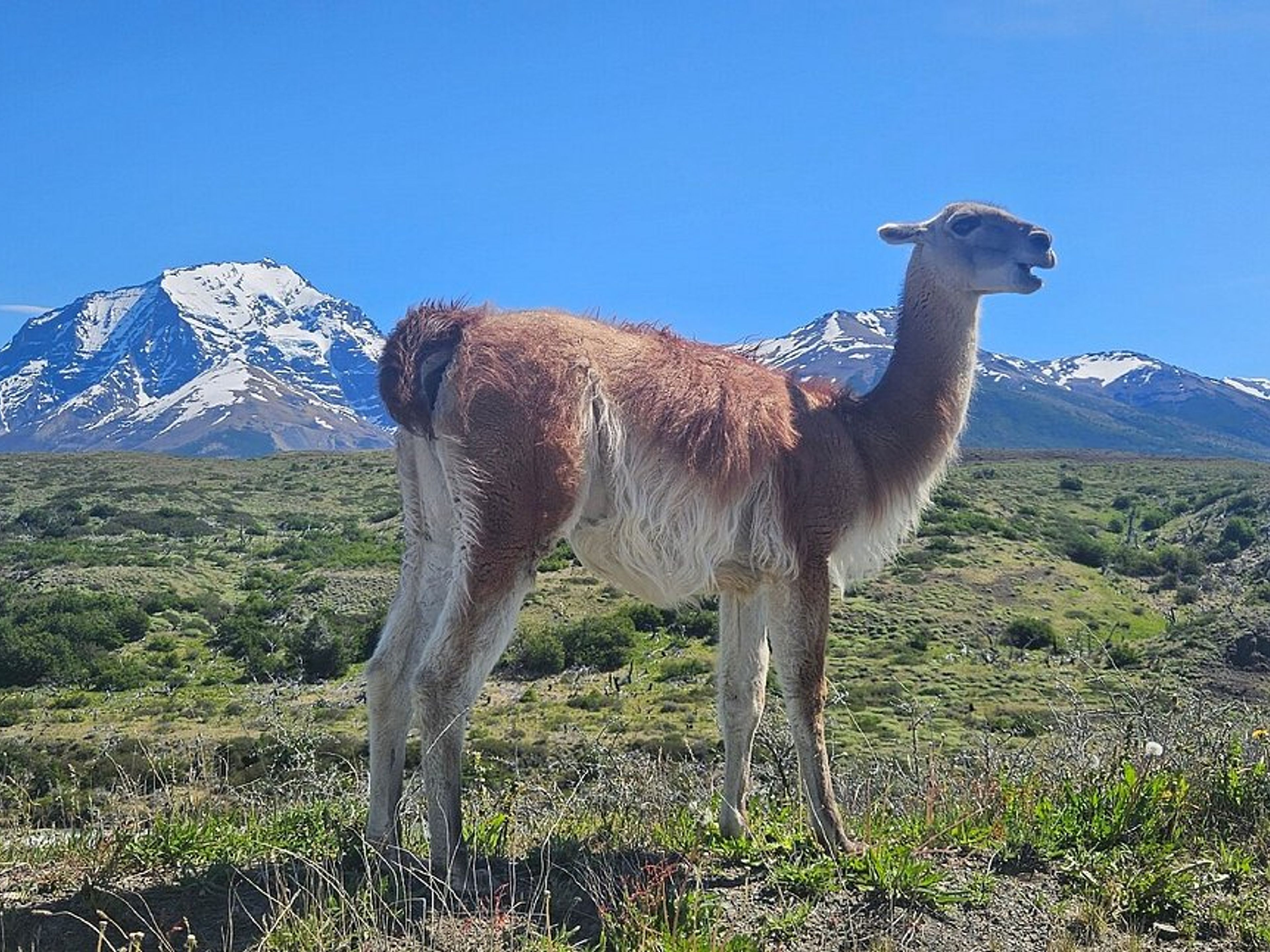 Tур "ПЕШЕХОДНАЯ ПРОГУЛКА ПО ПОРТЕРИЯ САРМИЕНТО". “HIKING PORTERIA SARMIENTO” Tour, Torres del Paine National Park, Chile.