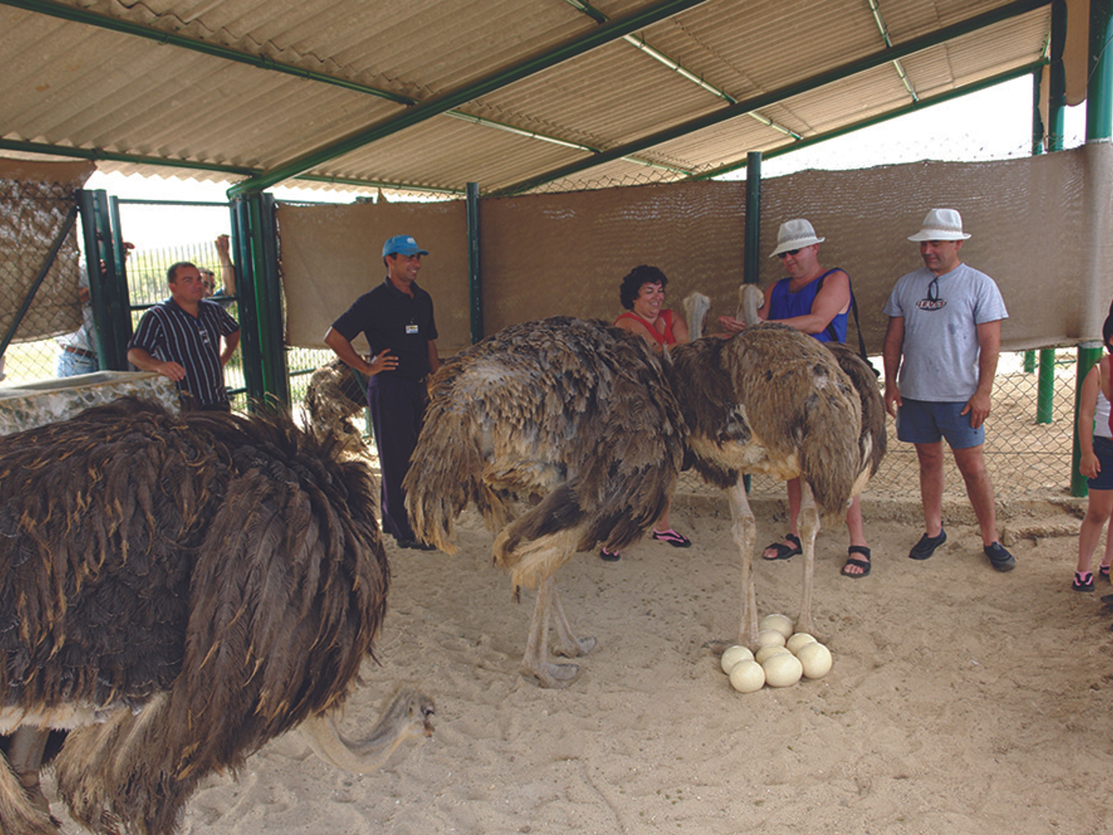 Excursão "UM DIA DE CAMPO". Rocazul biopark , Holguín