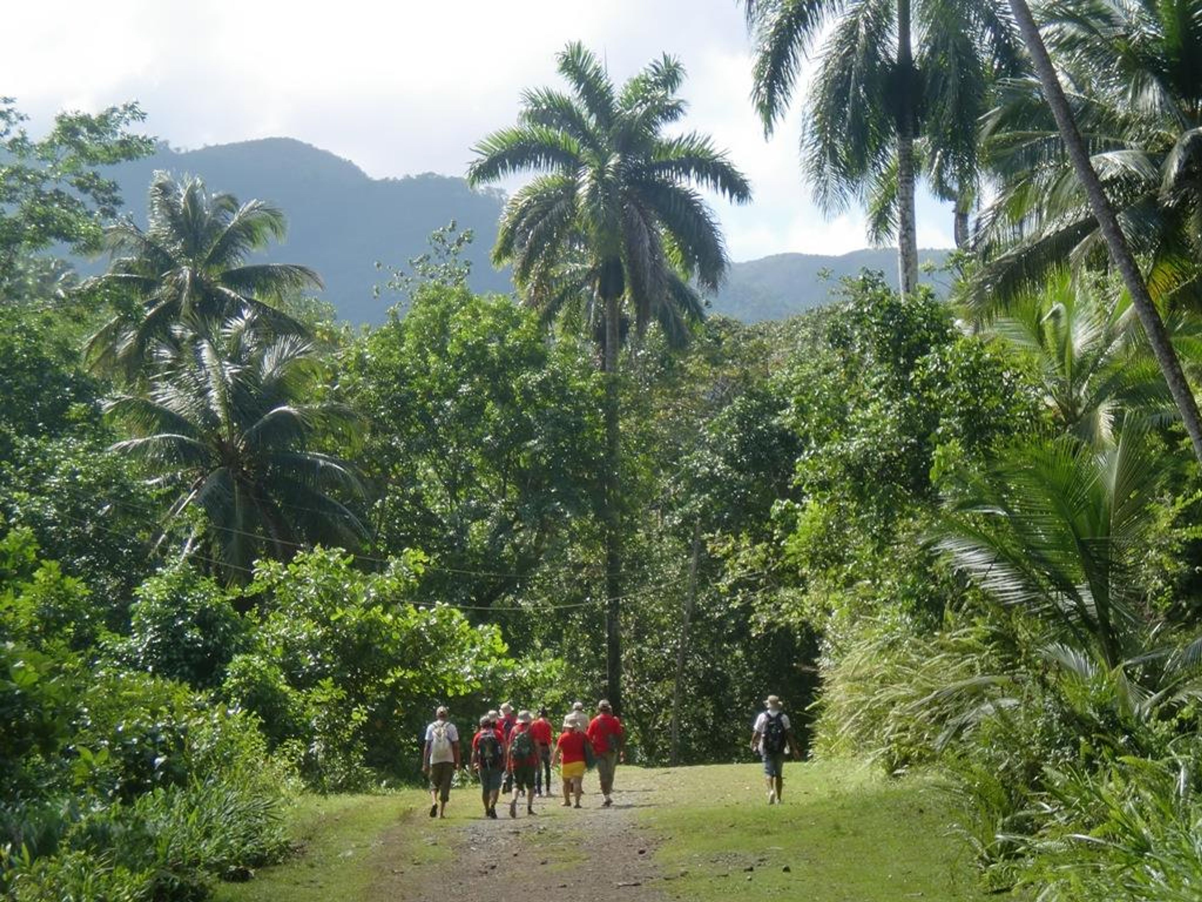Джип Cафари "Национальный парк ALEJANDRO DE HUMBOLDT + MAGUANA BEACH". Alejandro de Humbolt National Park, Baracoa, Cuba