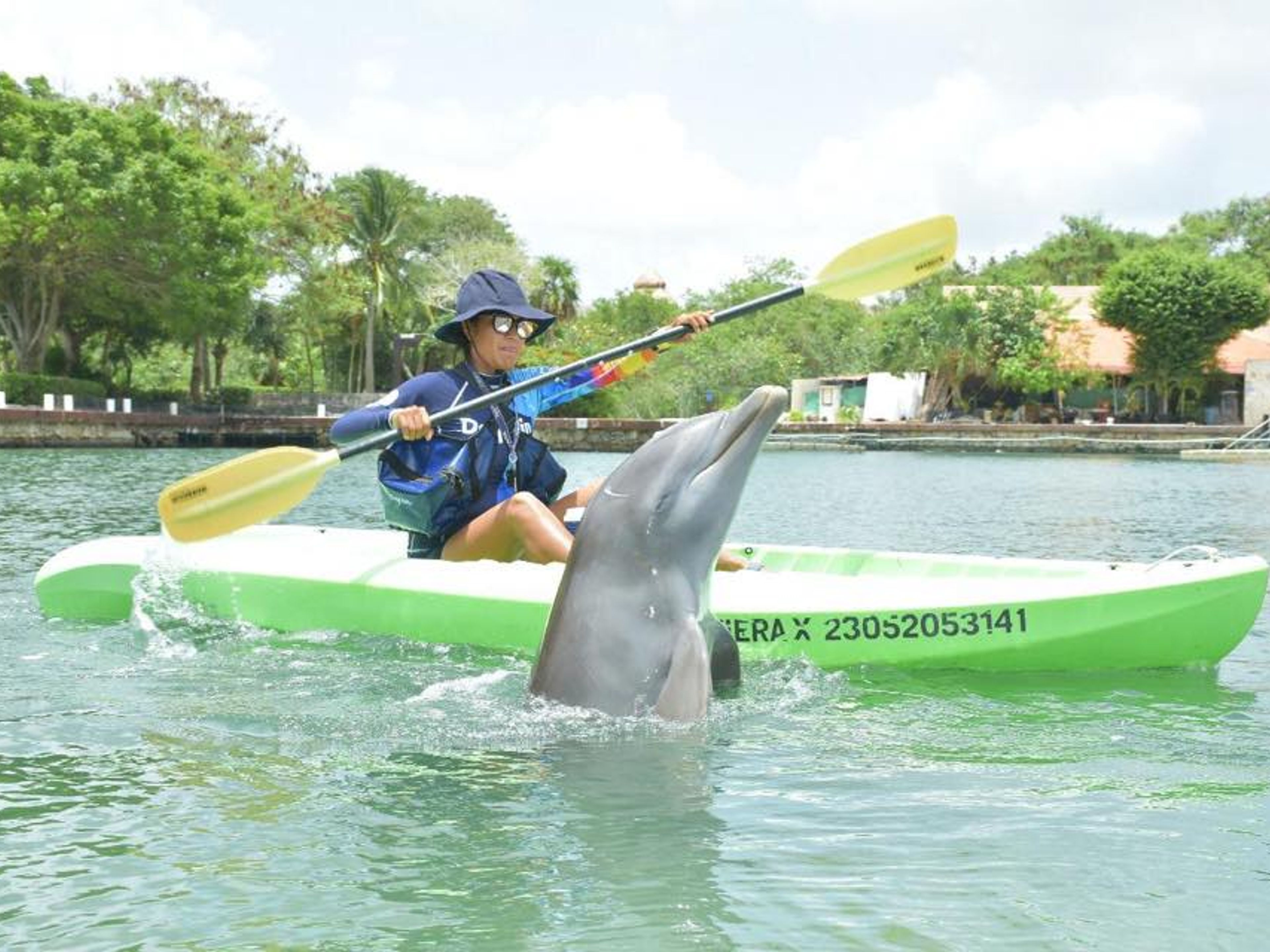 "Tulum + underwater swimming with dolphins" Tour. Dolphin Discovery Puerto Aventuras. Yucatan Peninsula. Mexico