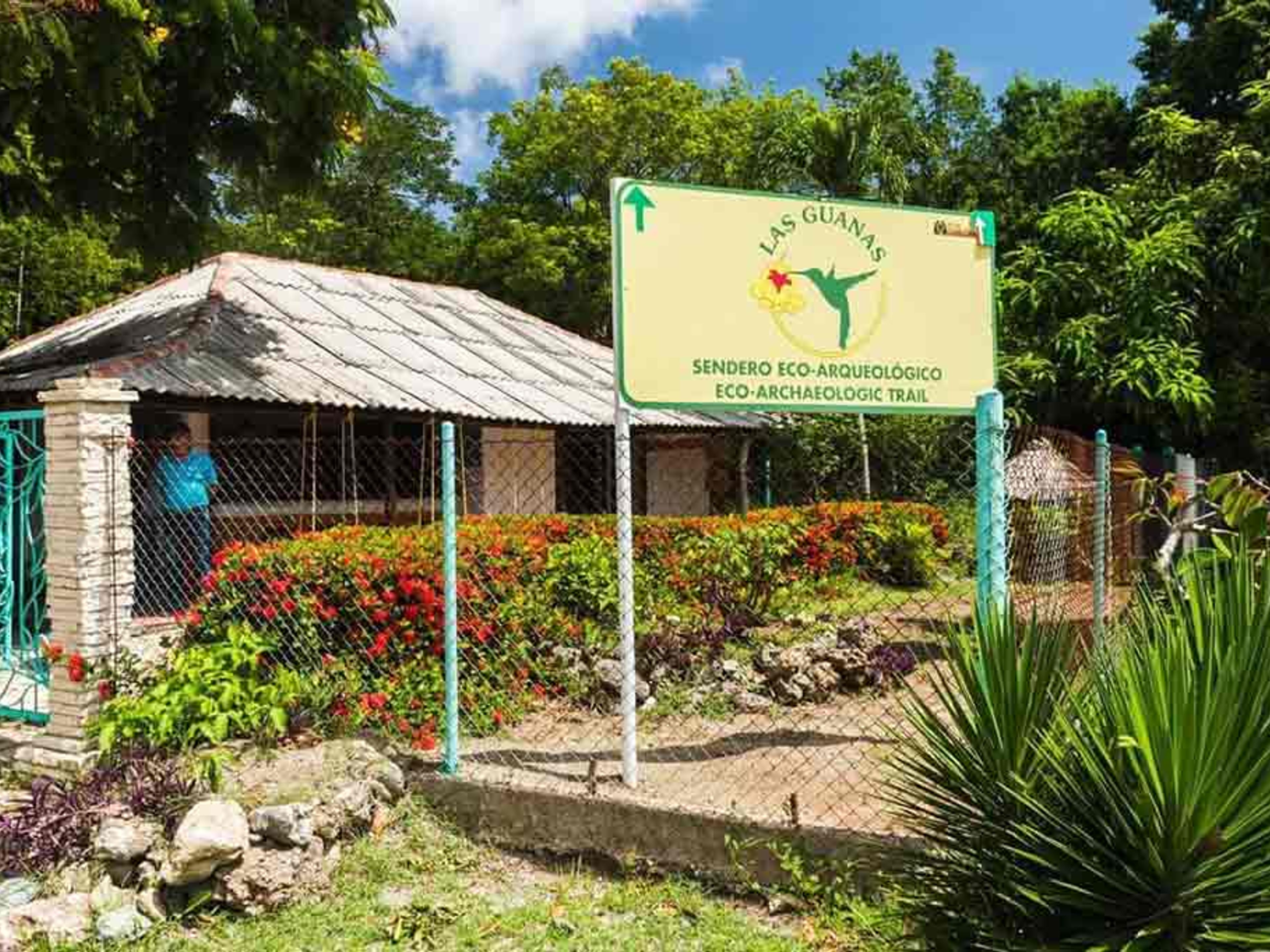 Excursión “SENDERO LAS GUANAS”. “LAS GUANAS TRAIL” Tour, Bioparque Rocazul, Playa Guardalavaca, Holguín, Cuba.