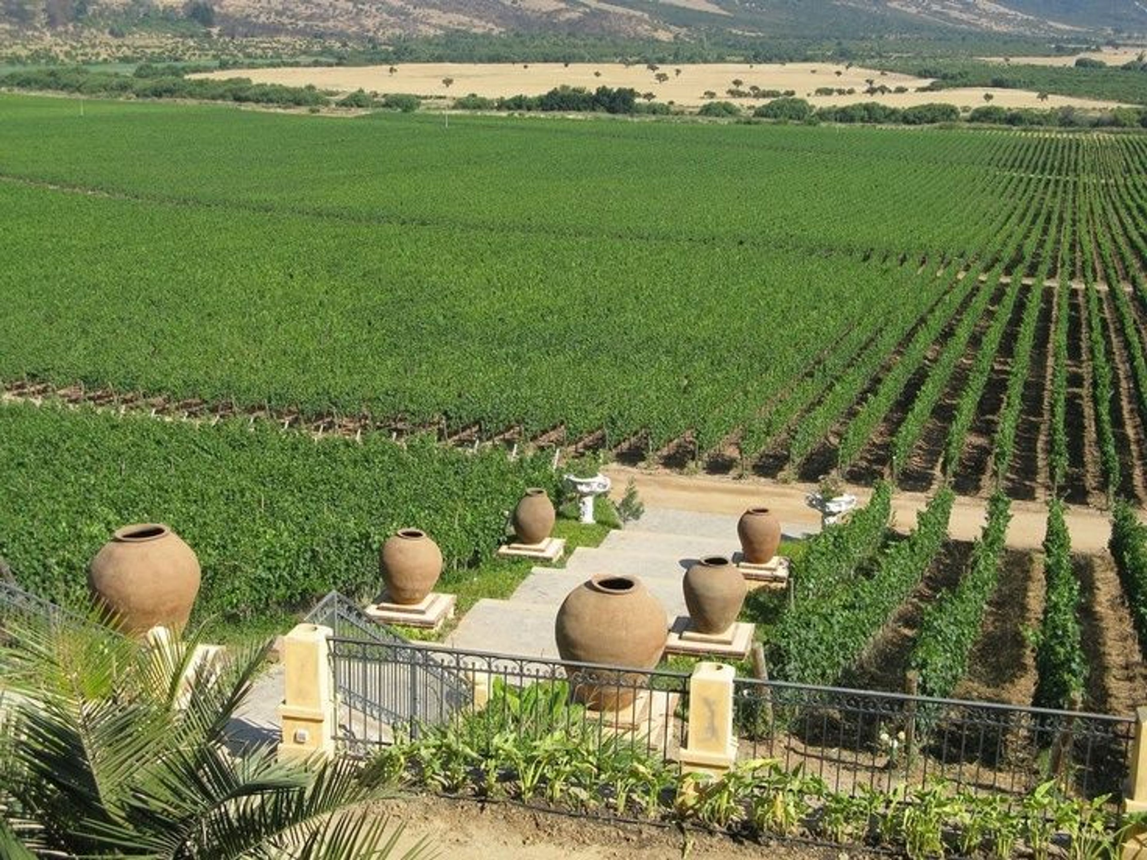 TOUR “VALE DE CASABLANCA”.. null