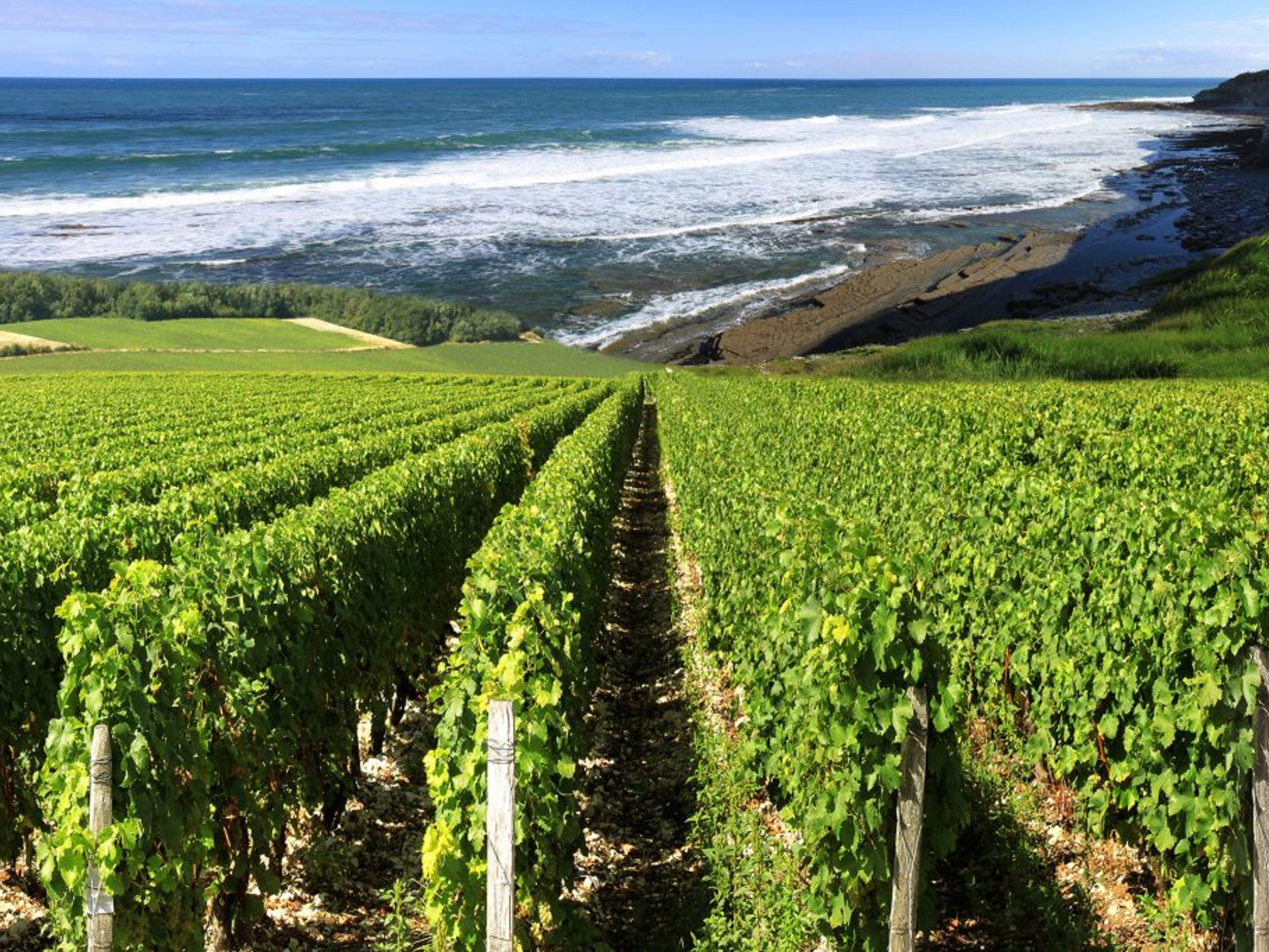 TOUR “VALE DE CASABLANCA”.
