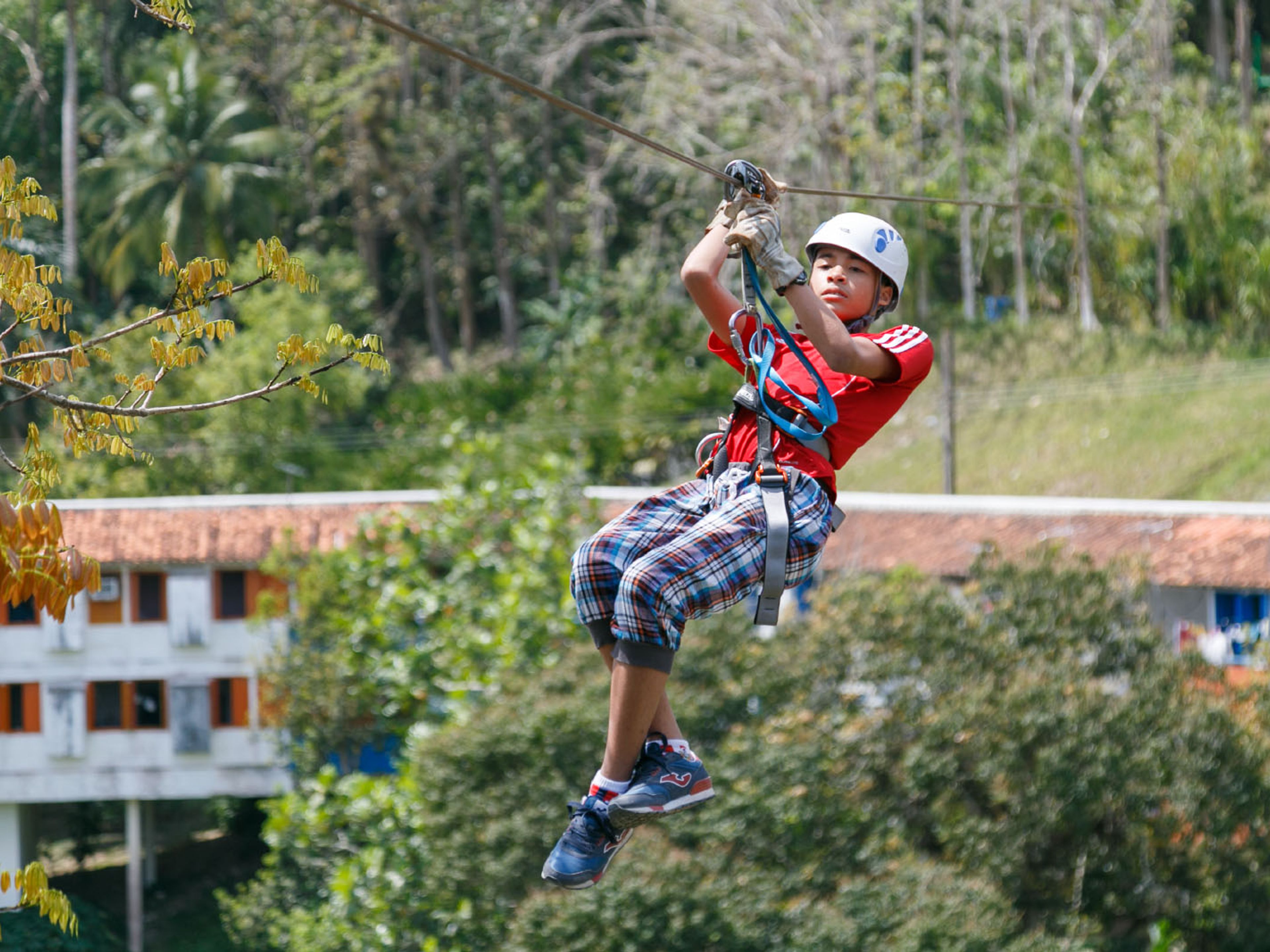 Tour “GIRO A LAS TERRAZAS E VIÑALES IN AUTO AMERICANE CLASSICHE”. Canopy tour at Las Terrazas comunity, Artemisa. “Ride to Las Terrazas and Viñales in Old Fashion American Classic Cars” Tour