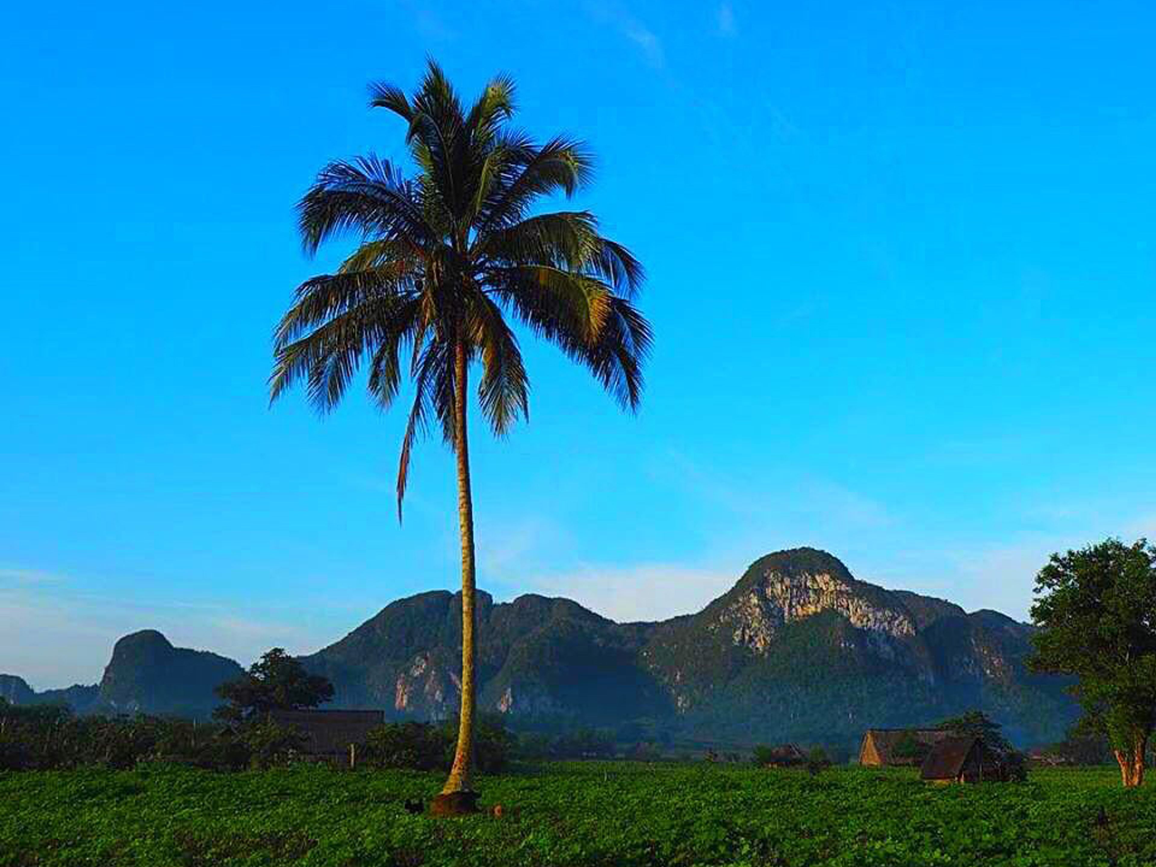 Excursão "Aventura de Trekking através do Valle del Silencio". Viñales valley panoramic view, Pinar del Río, "Trekking Adventure through the Valle del Silencio" Tour